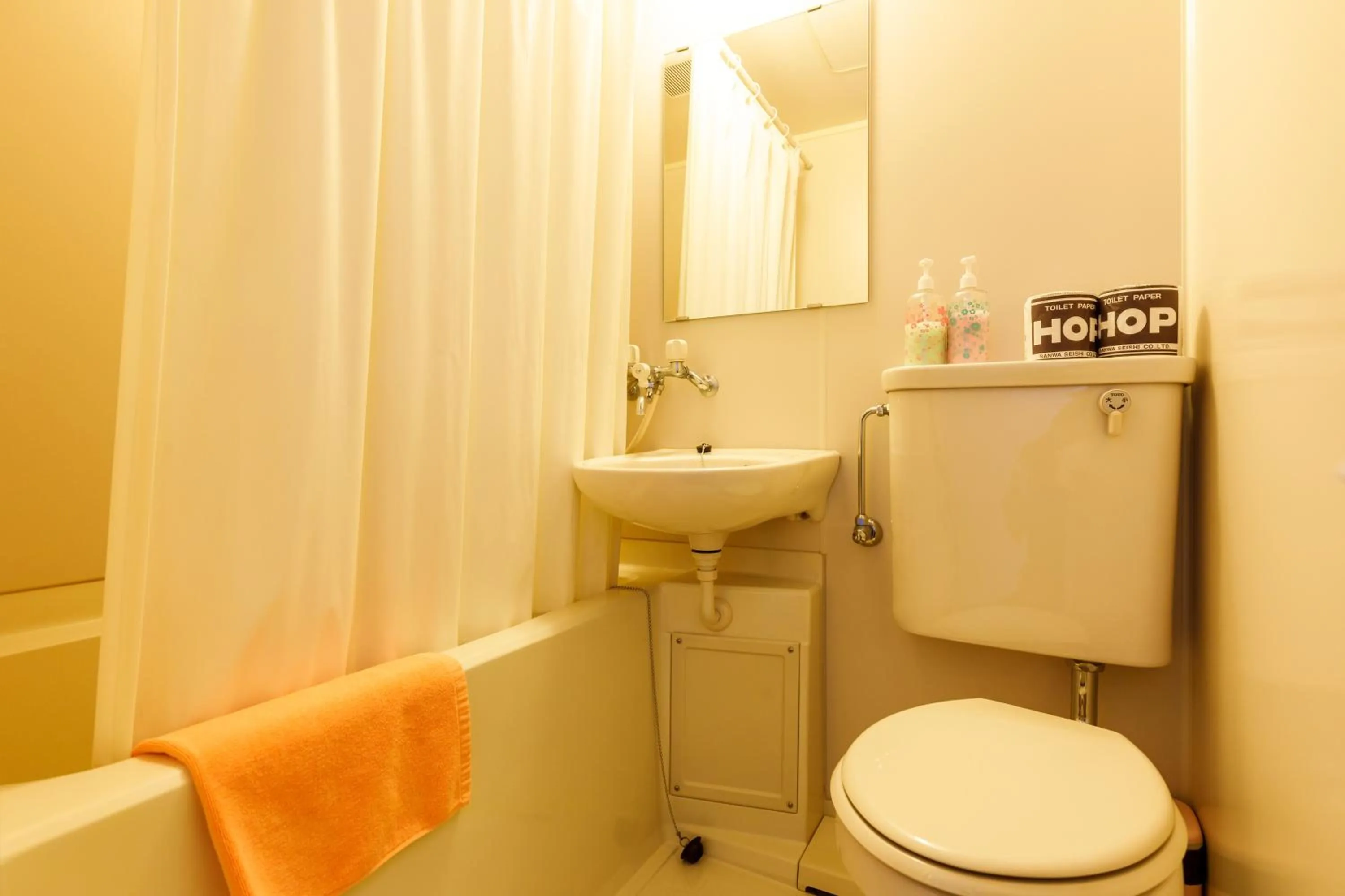 Toilet in コンドミニアム白馬五竜