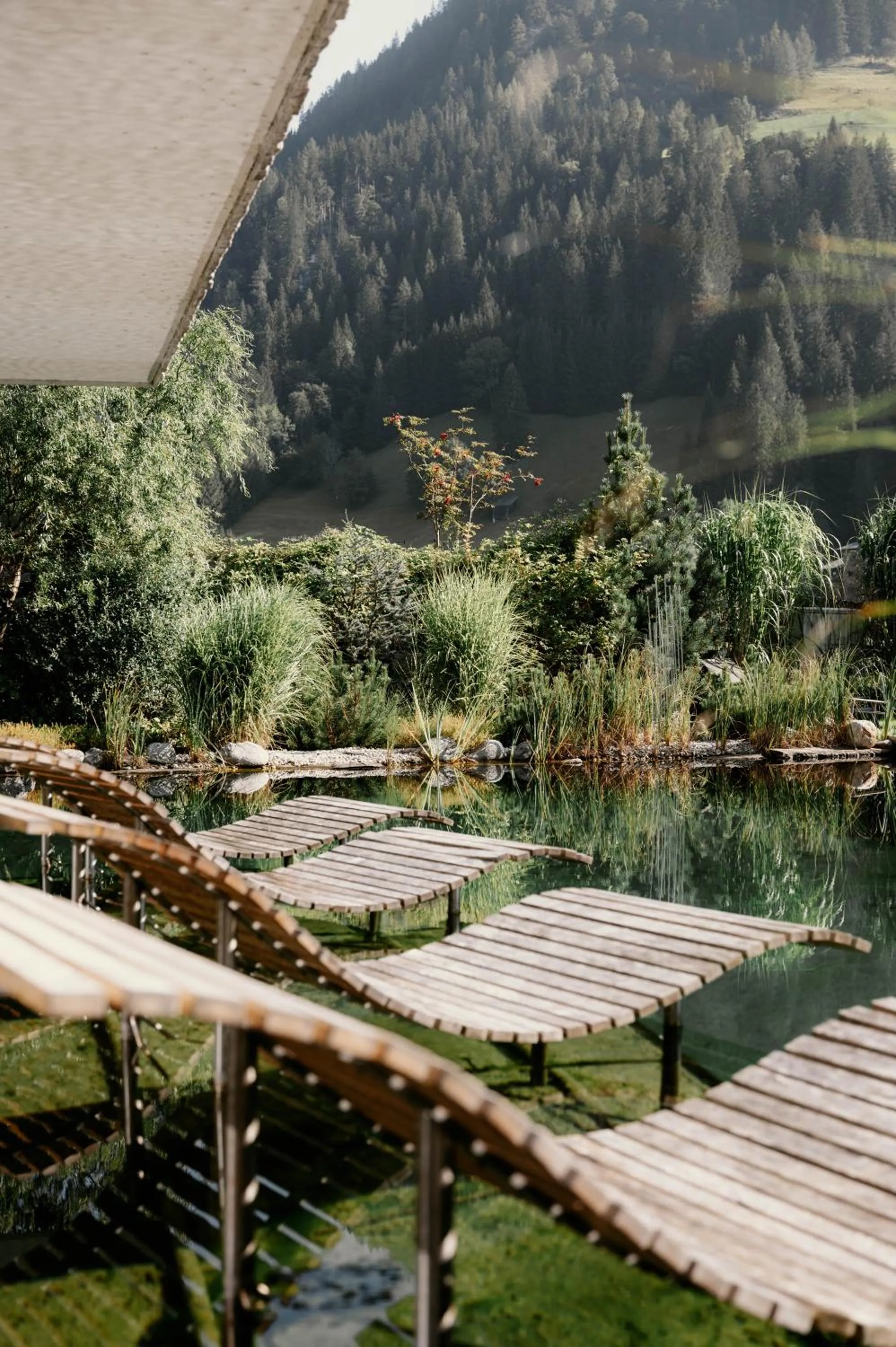 Spa and wellness centre/facilities in Hotel Nesslerhof