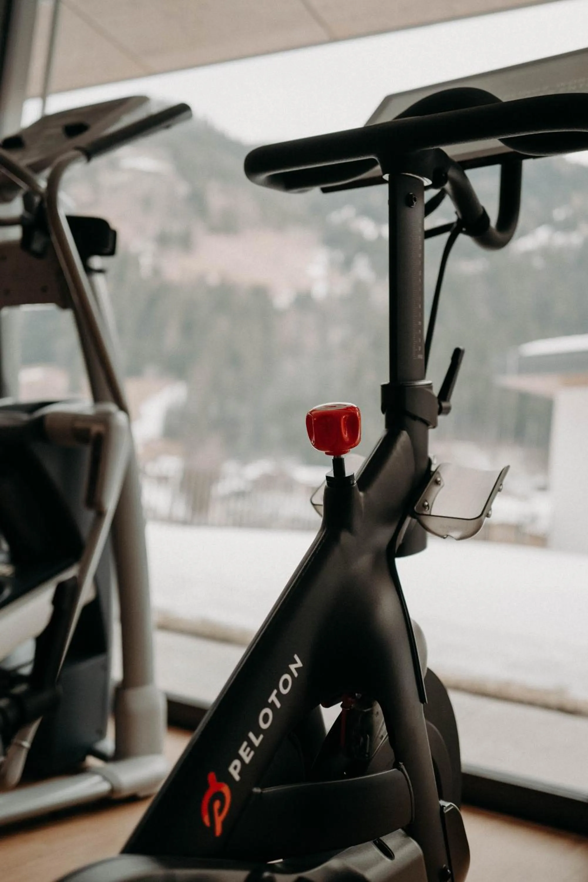 Fitness centre/facilities in Hotel Nesslerhof