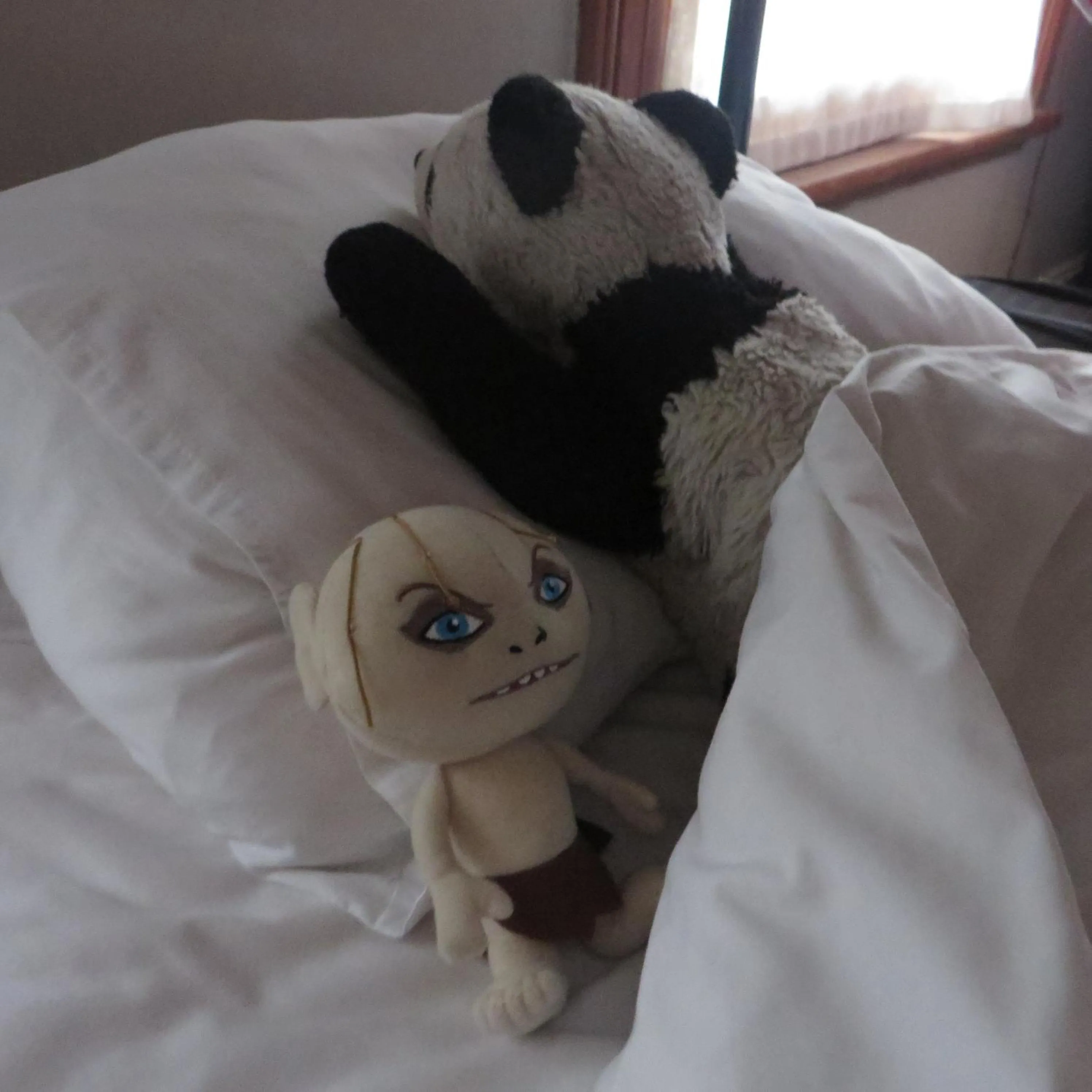 Photo of the whole room in Ashanti Lodge Backpackers