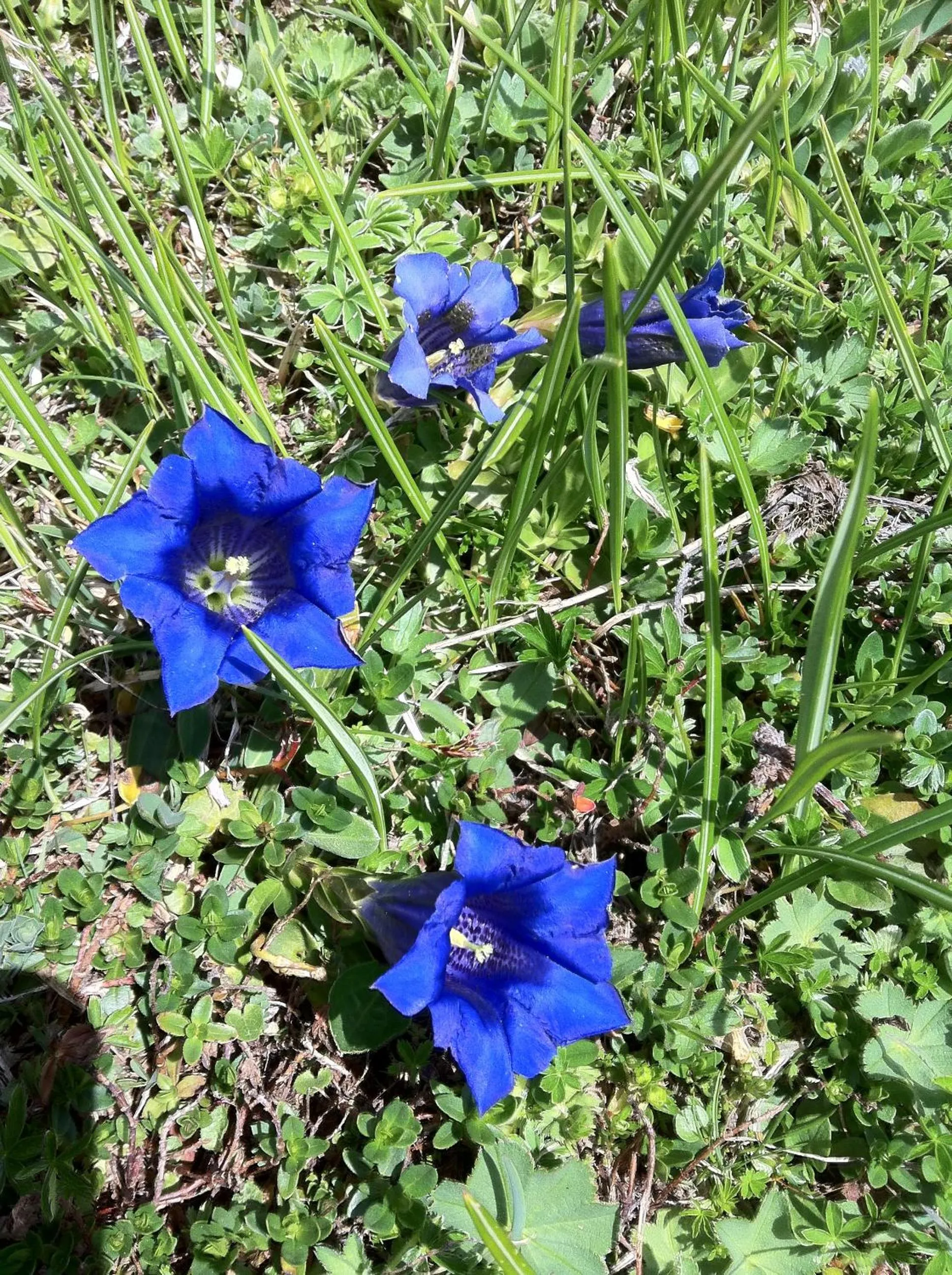 Other in Pension Rainhof