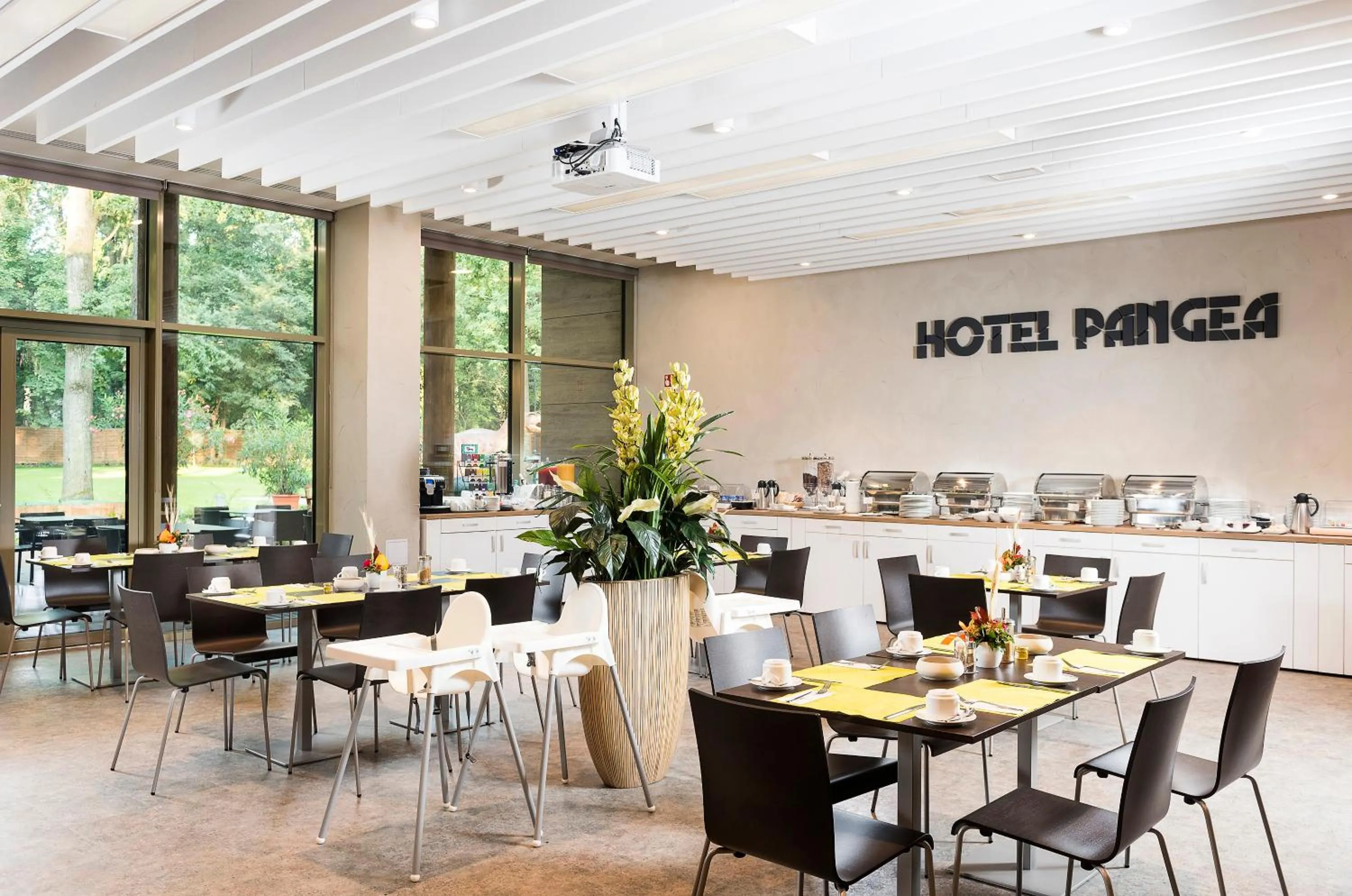 Food and drinks in Pangea Hotel