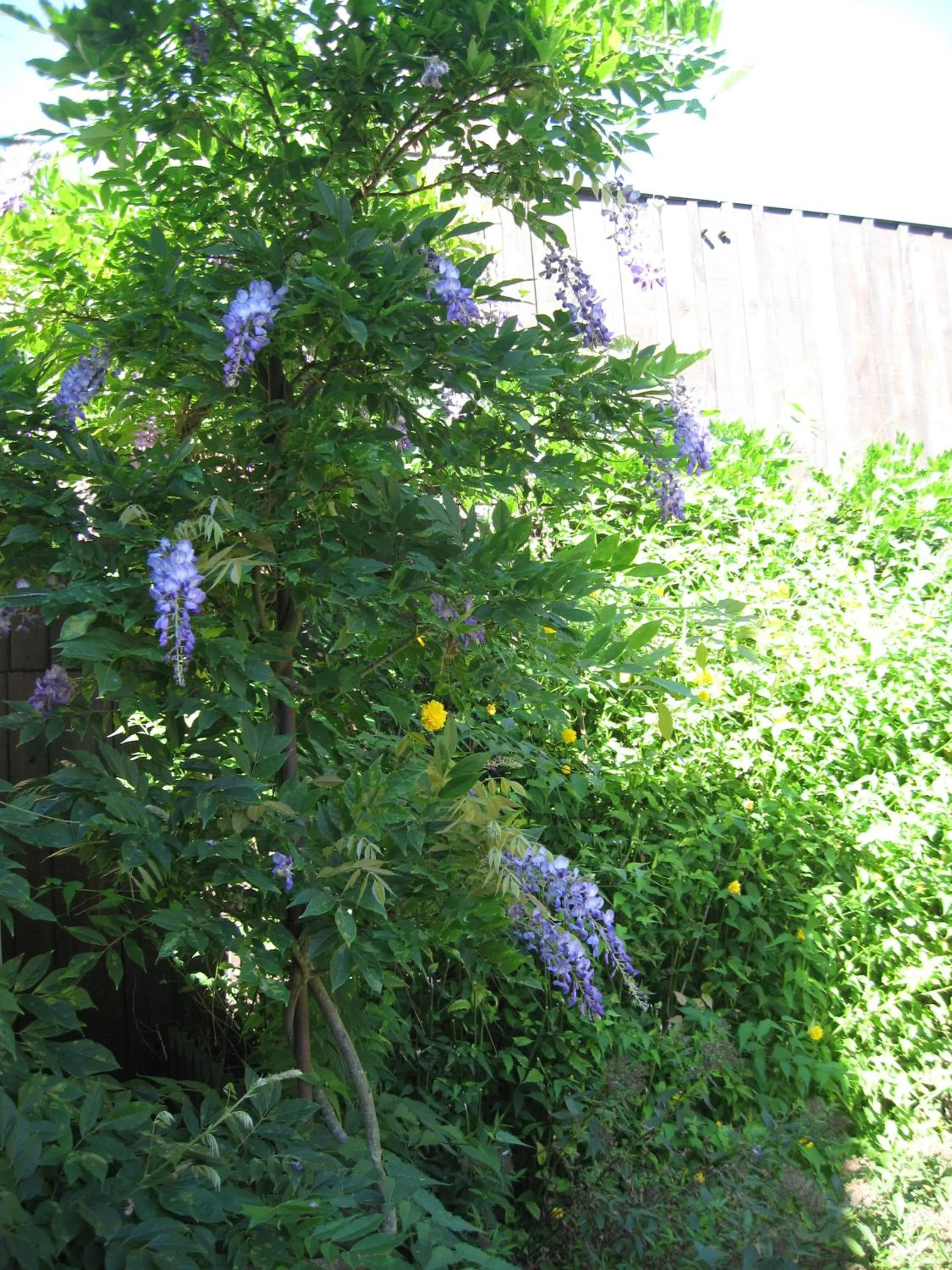 Facade/entrance in Chambres La Vallée