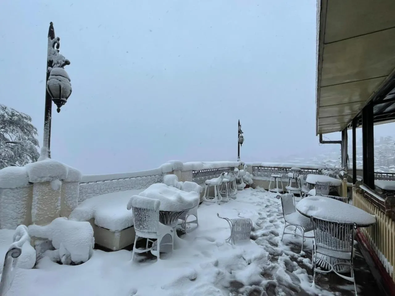 Hotel Willow Banks Shimla