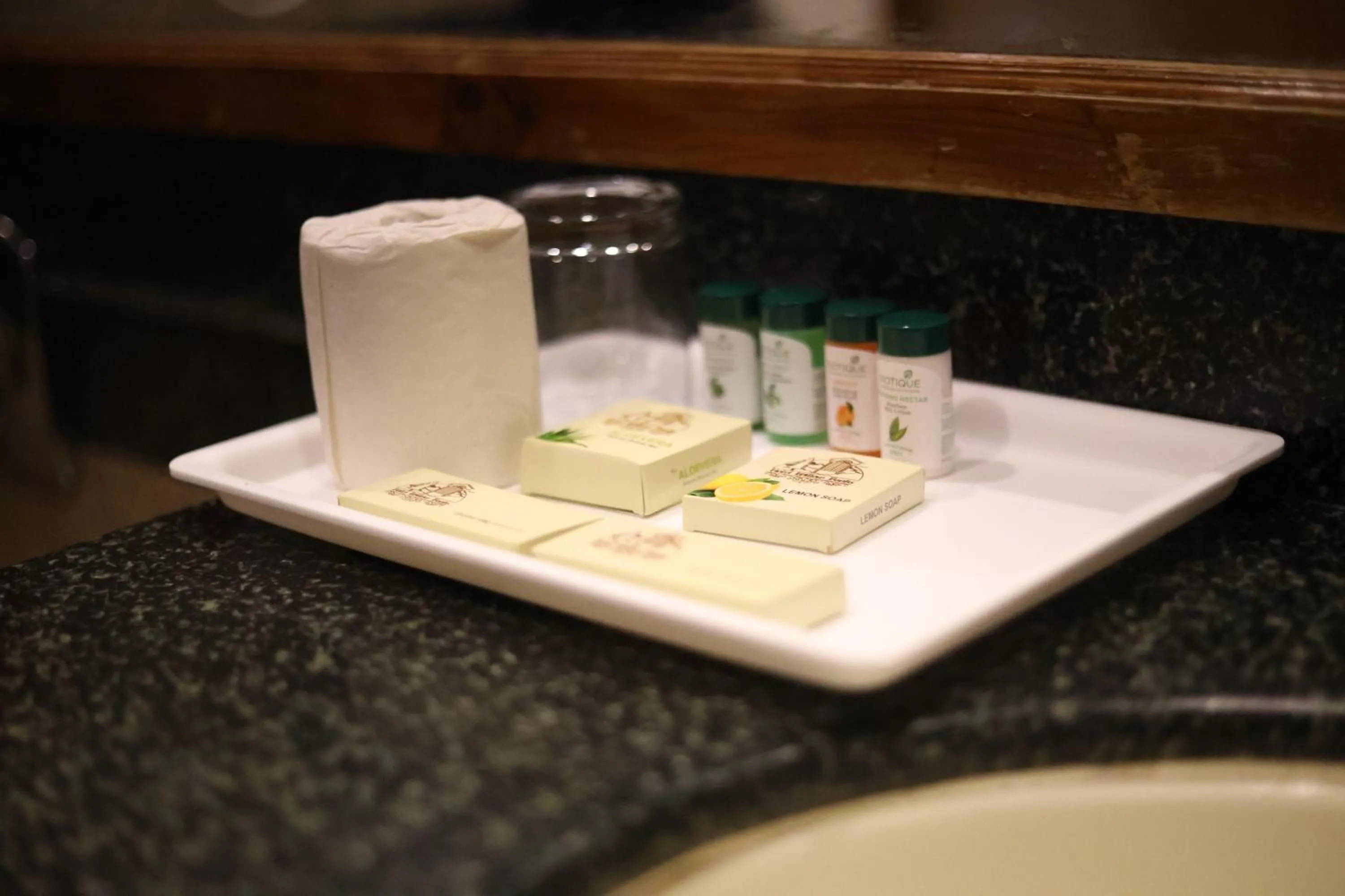 Bathroom in Hotel Willow Banks Shimla