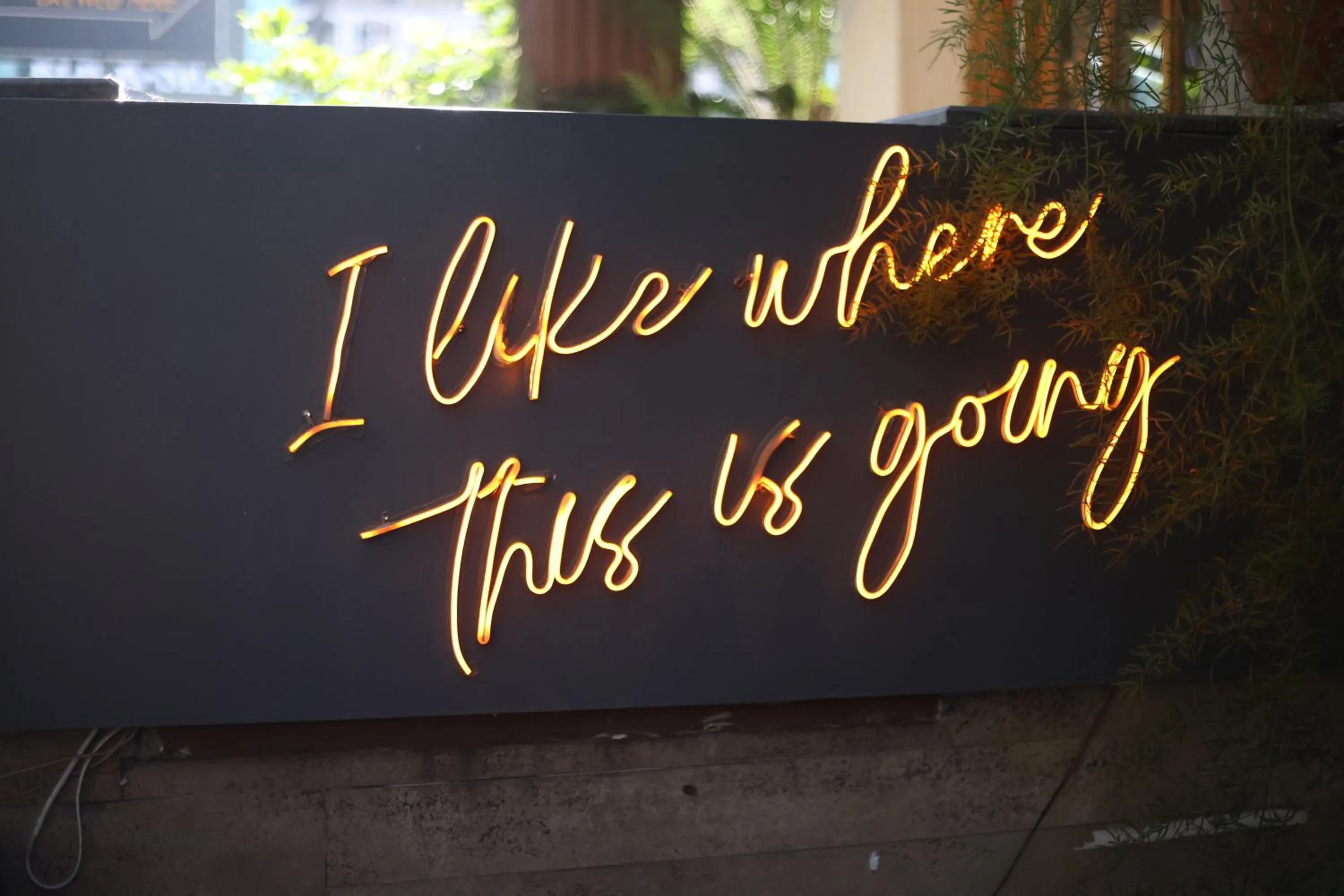 Nightclub / DJ in Hotel Willow Banks Shimla