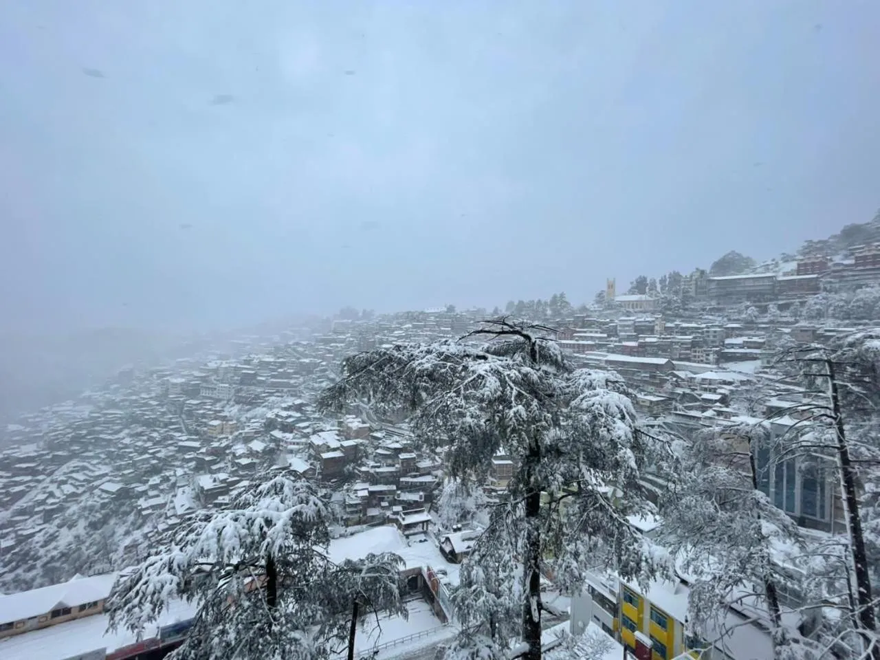 Hotel Willow Banks Shimla