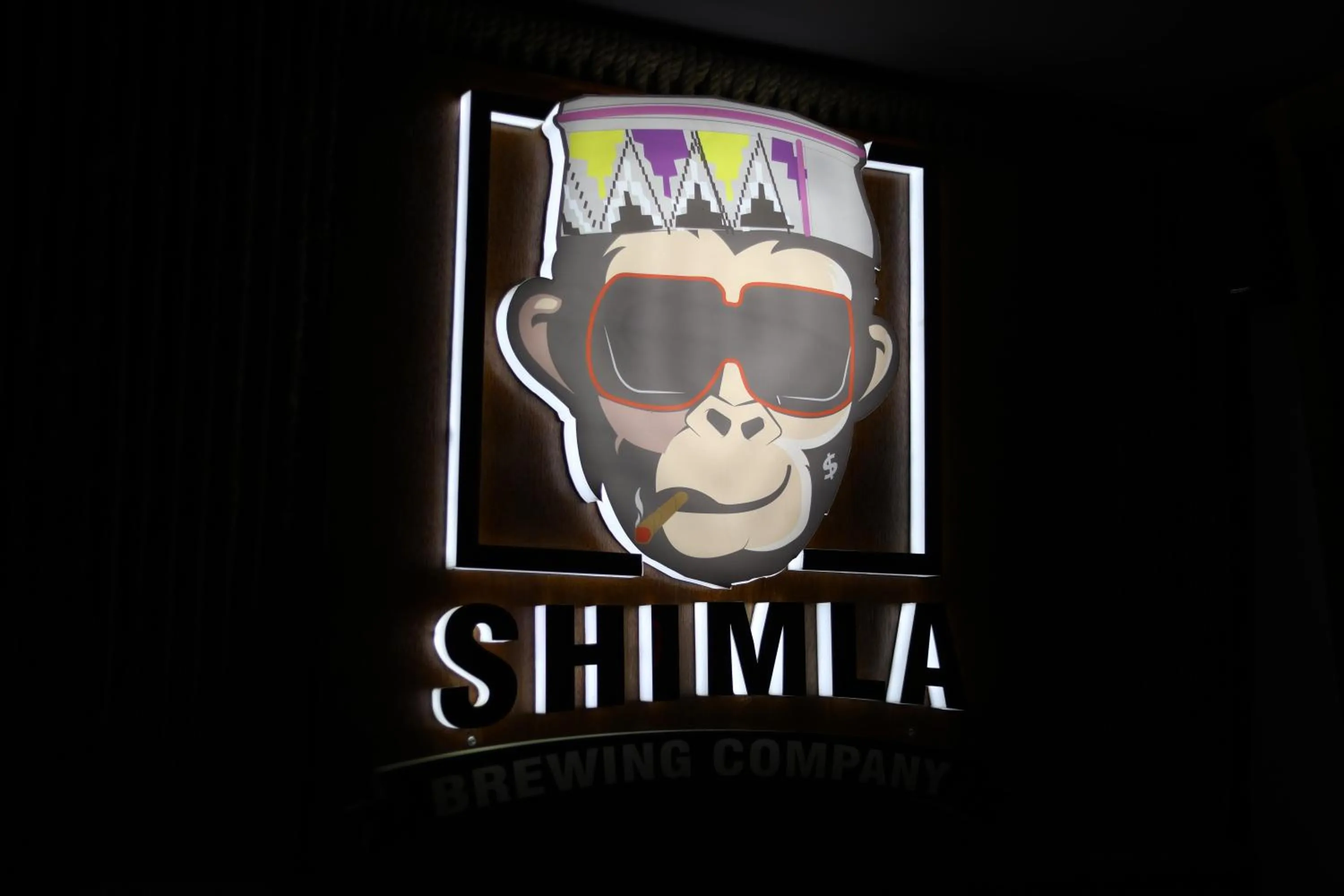 Nightclub / DJ in Hotel Willow Banks Shimla