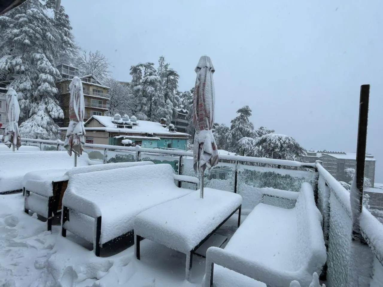 Hotel Willow Banks Shimla
