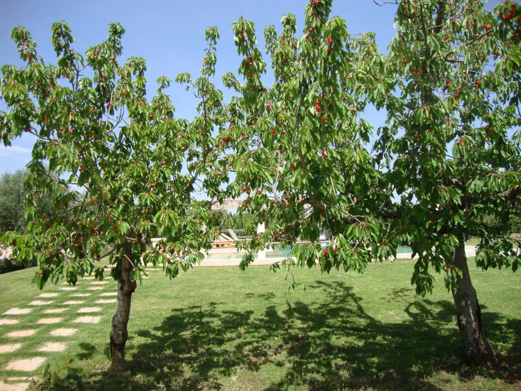 Garden in Fontana Vecchia B&B