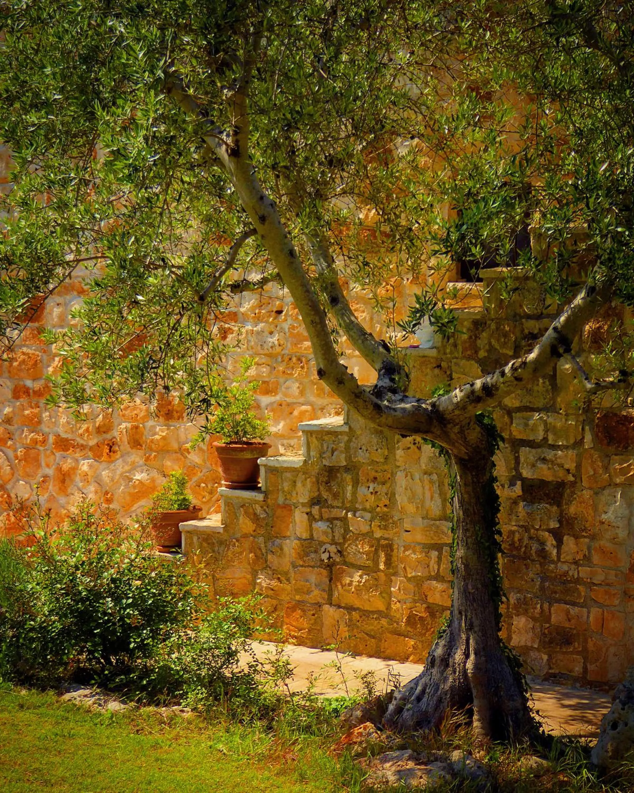 Property building in Fontana Vecchia B&B