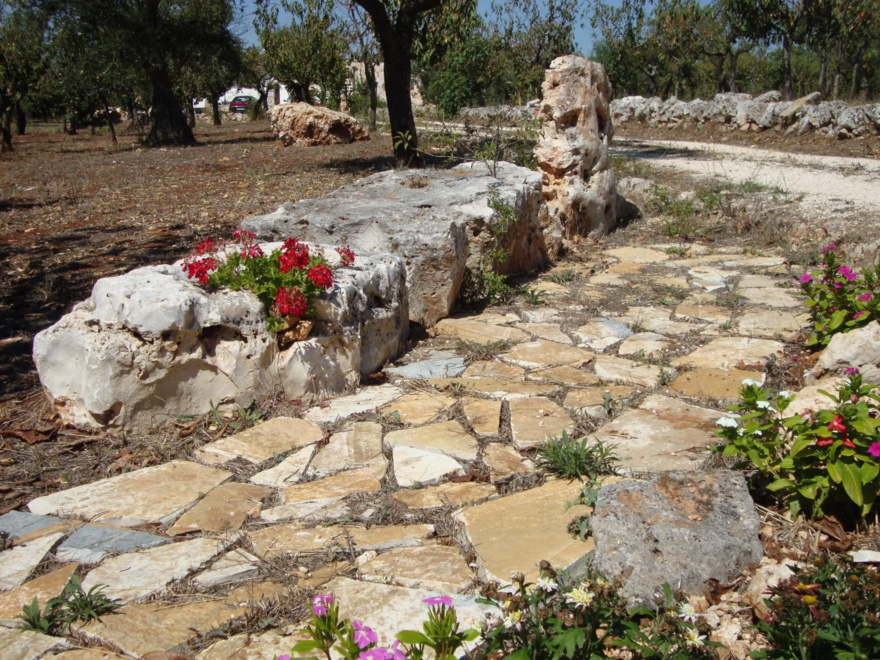 Garden in Fontana Vecchia B&B