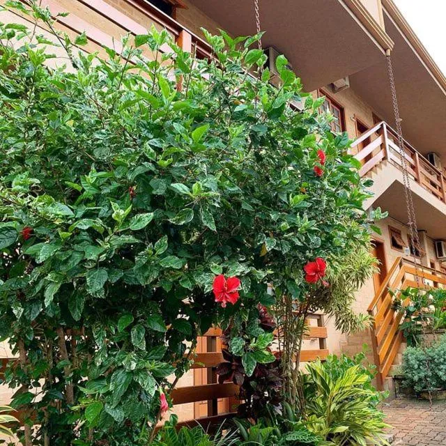 Spring in Hotel Pousada Santa Rita