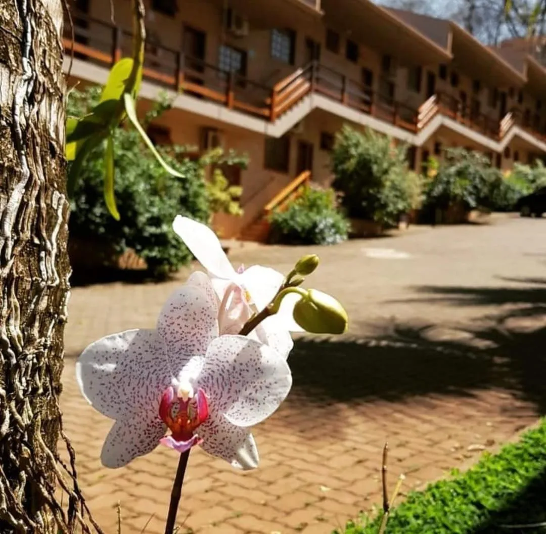 Spring in Hotel Pousada Santa Rita