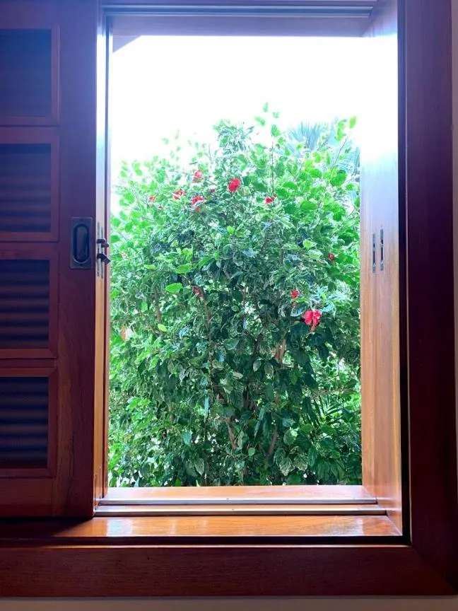 Spring in Hotel Pousada Santa Rita