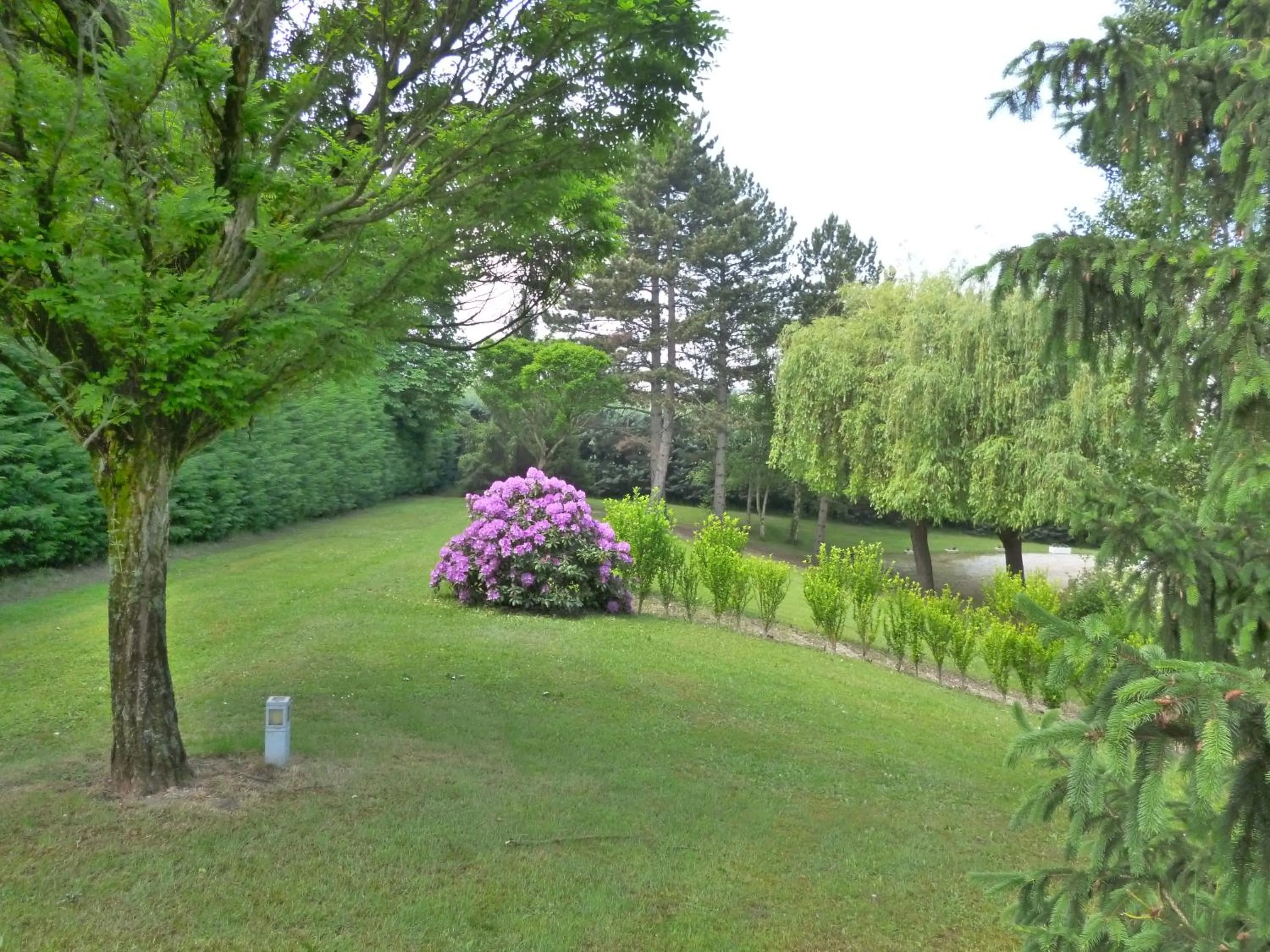 Day in Hôtel Vulcain