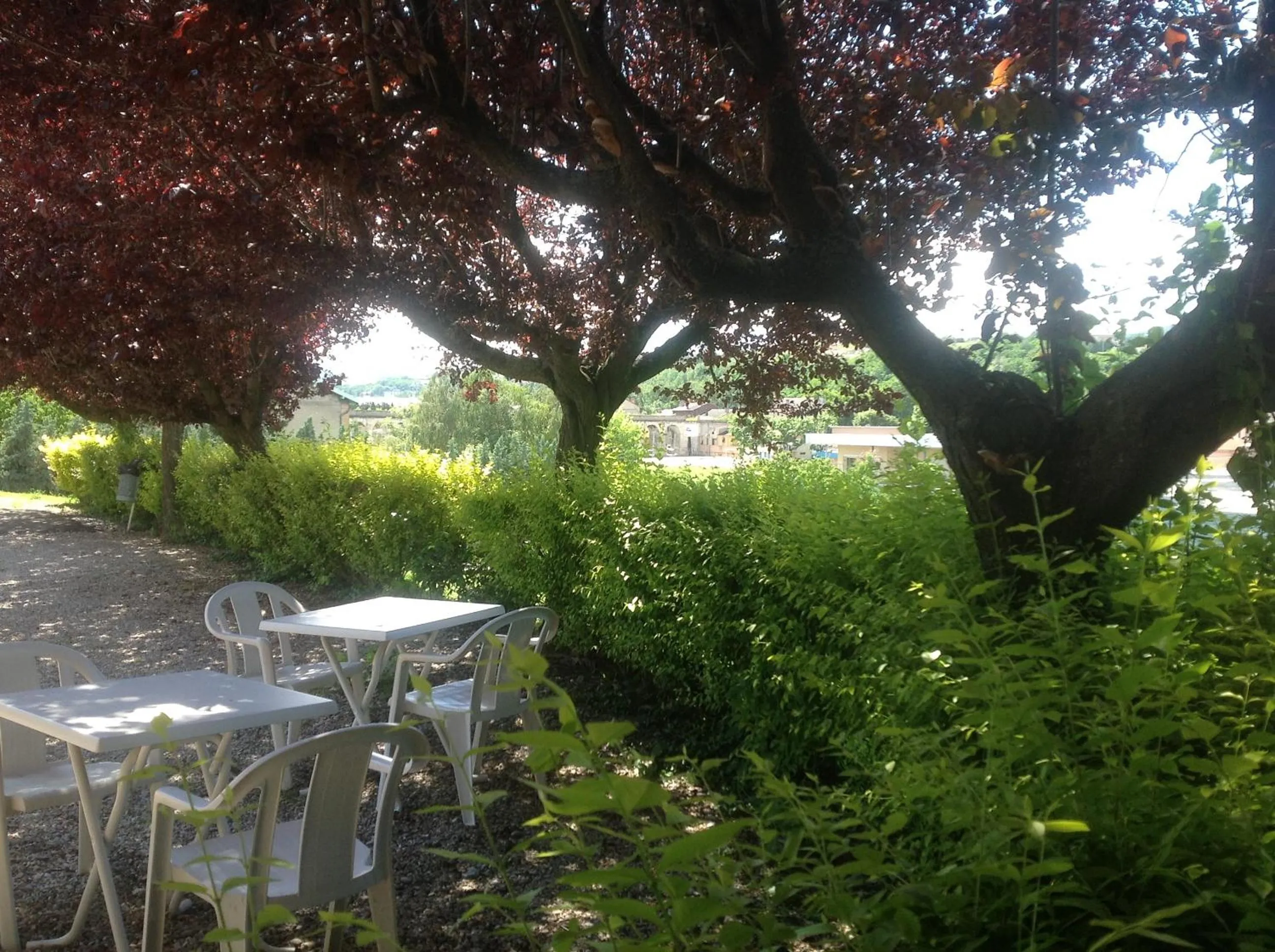 Garden in Hôtel Vulcain