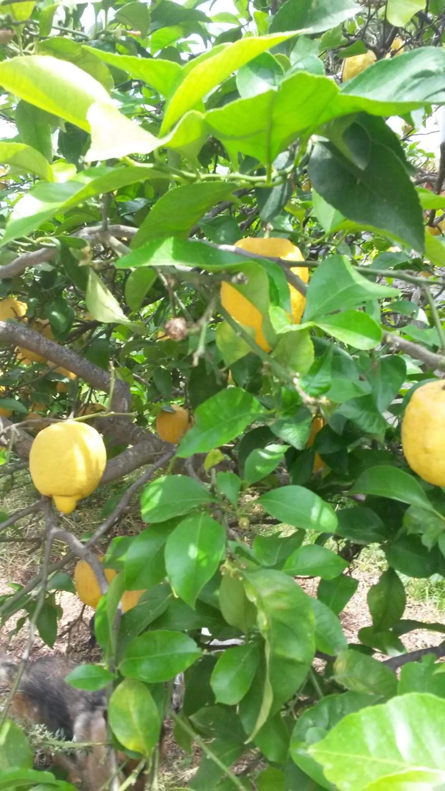 Day in Hotel Costa Citara