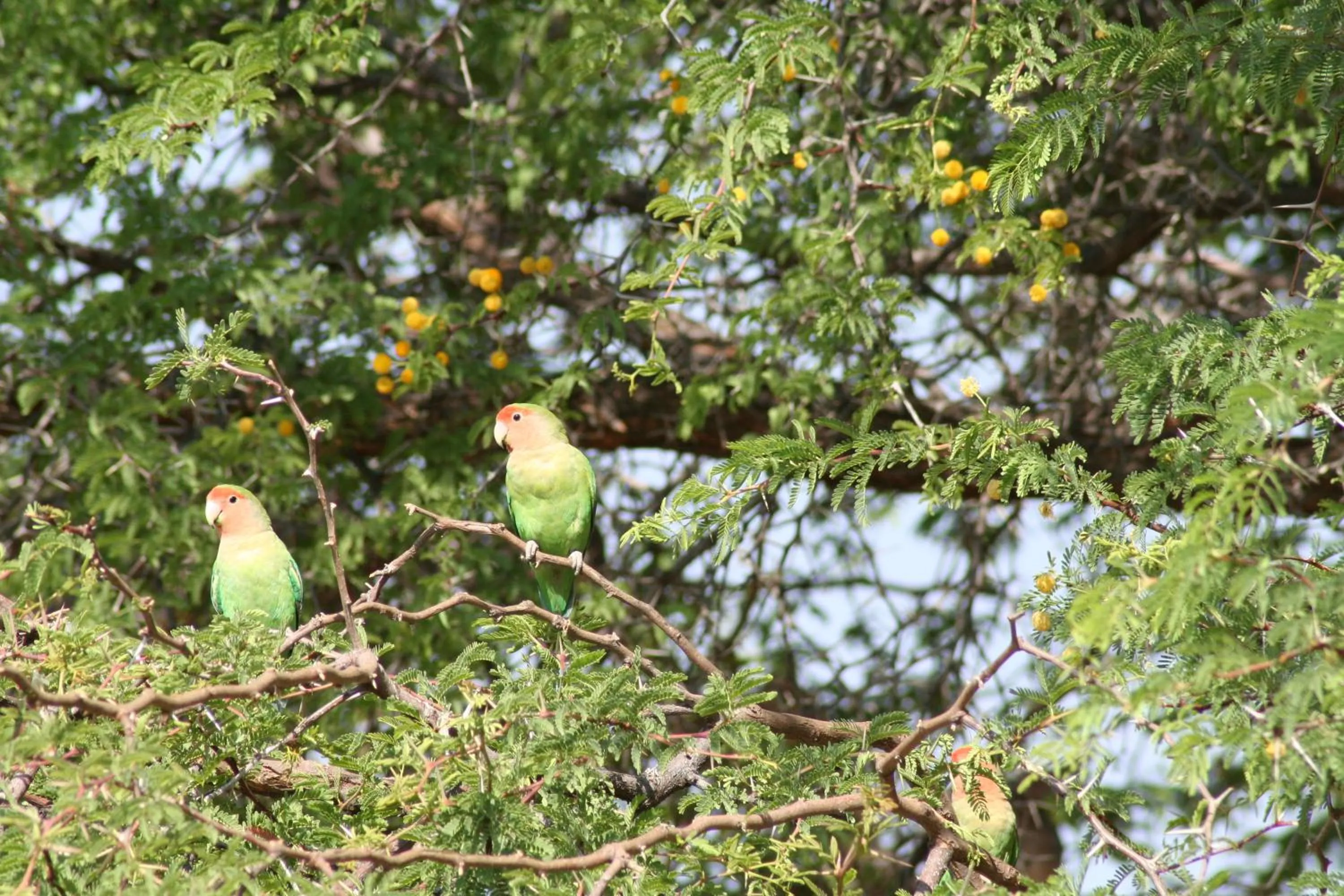 Etango Ranch Guest Farm