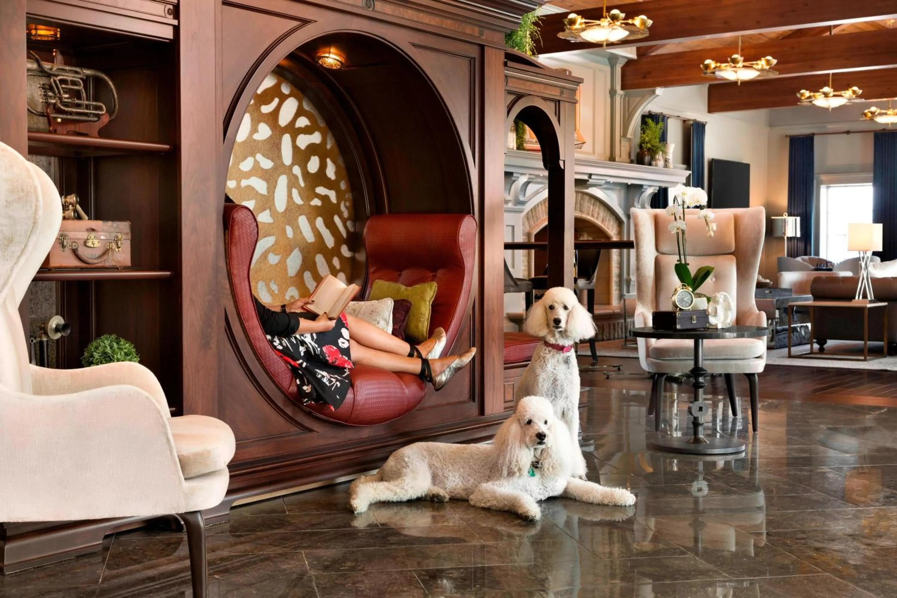 View (from property/room) in Reikart House Buffalo, a Tribute Portfolio Hotel