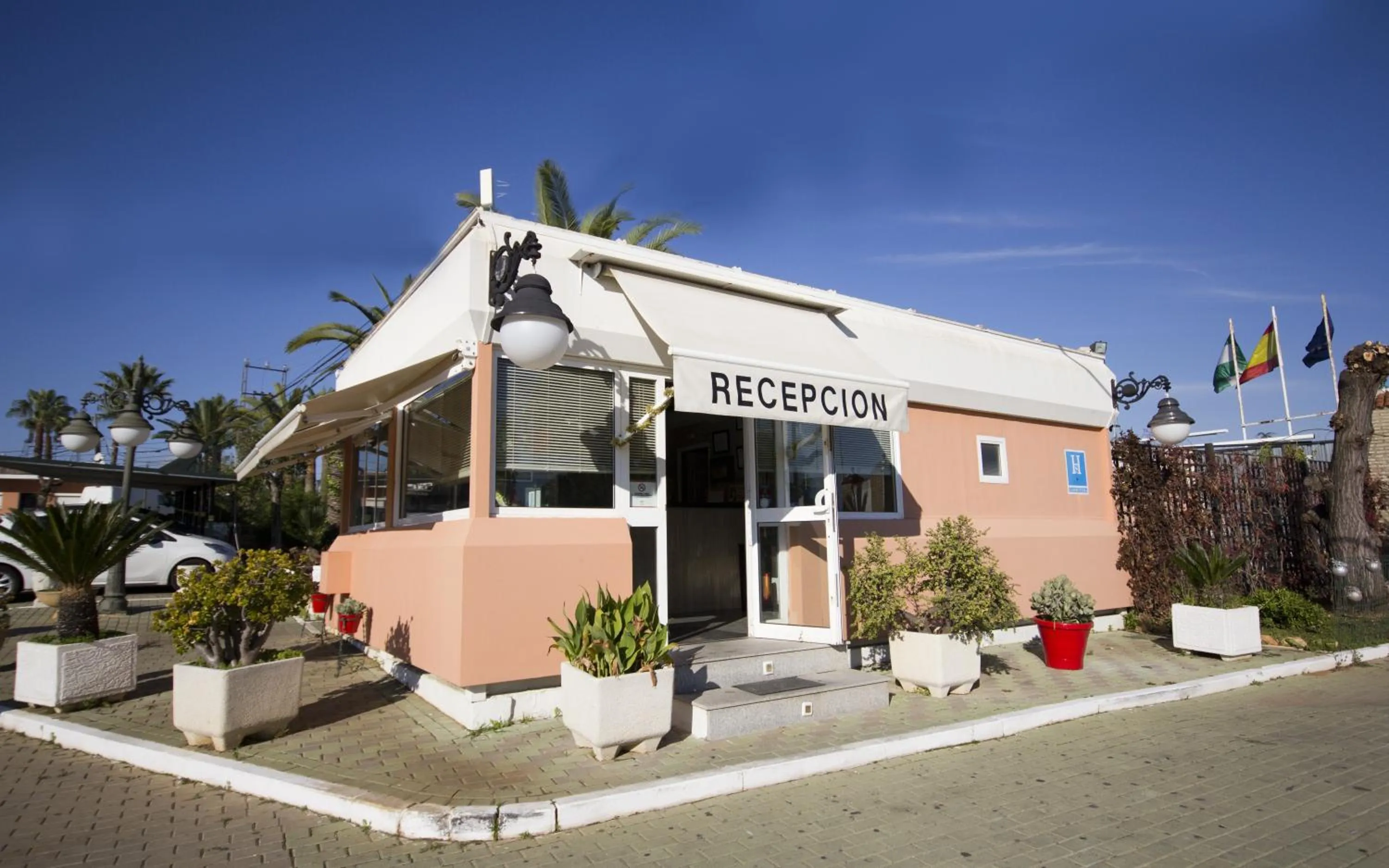 Lobby or reception in Hostal Nueva Andalucia