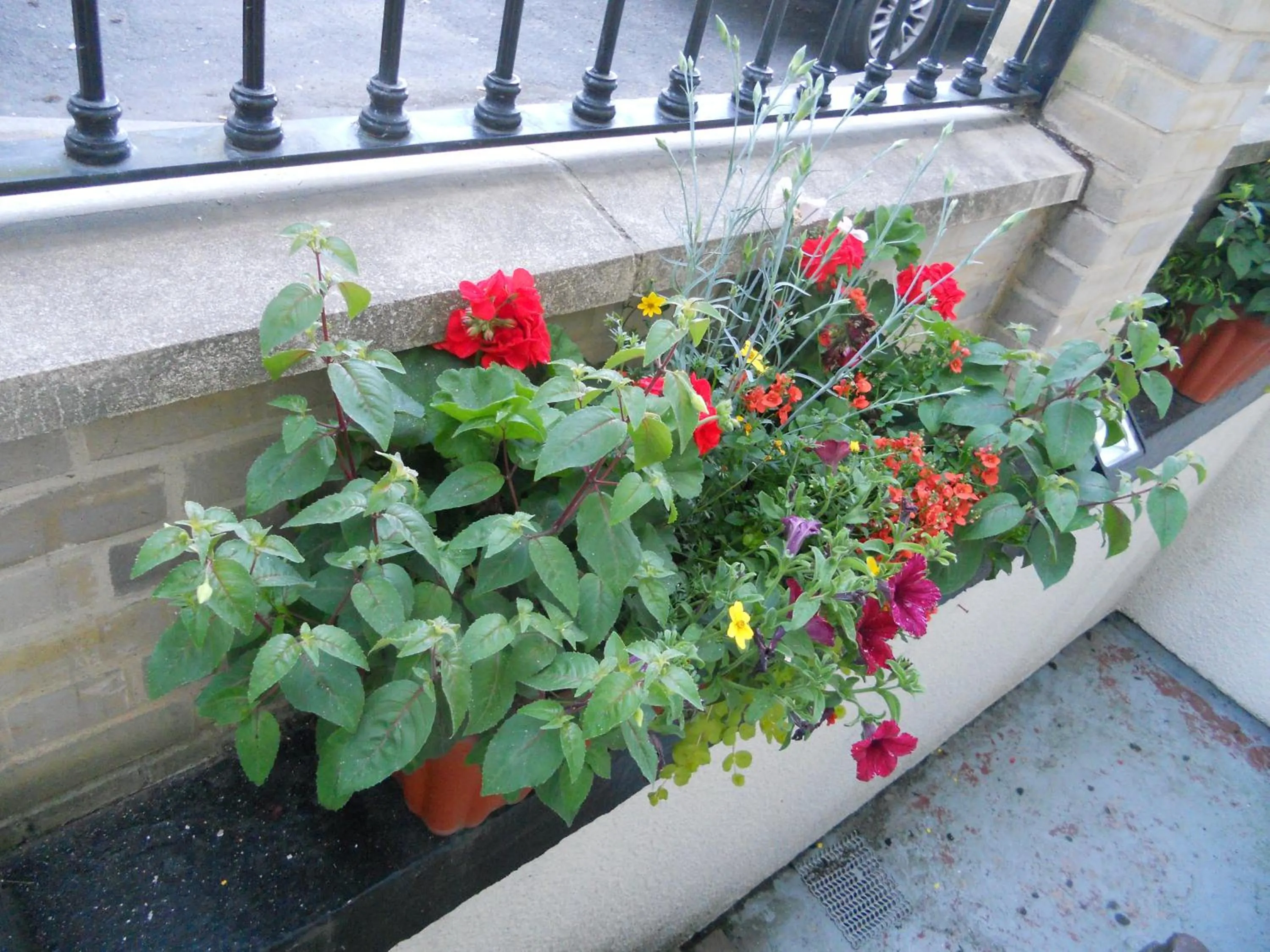 Decorative detail in All Seasons Guest House