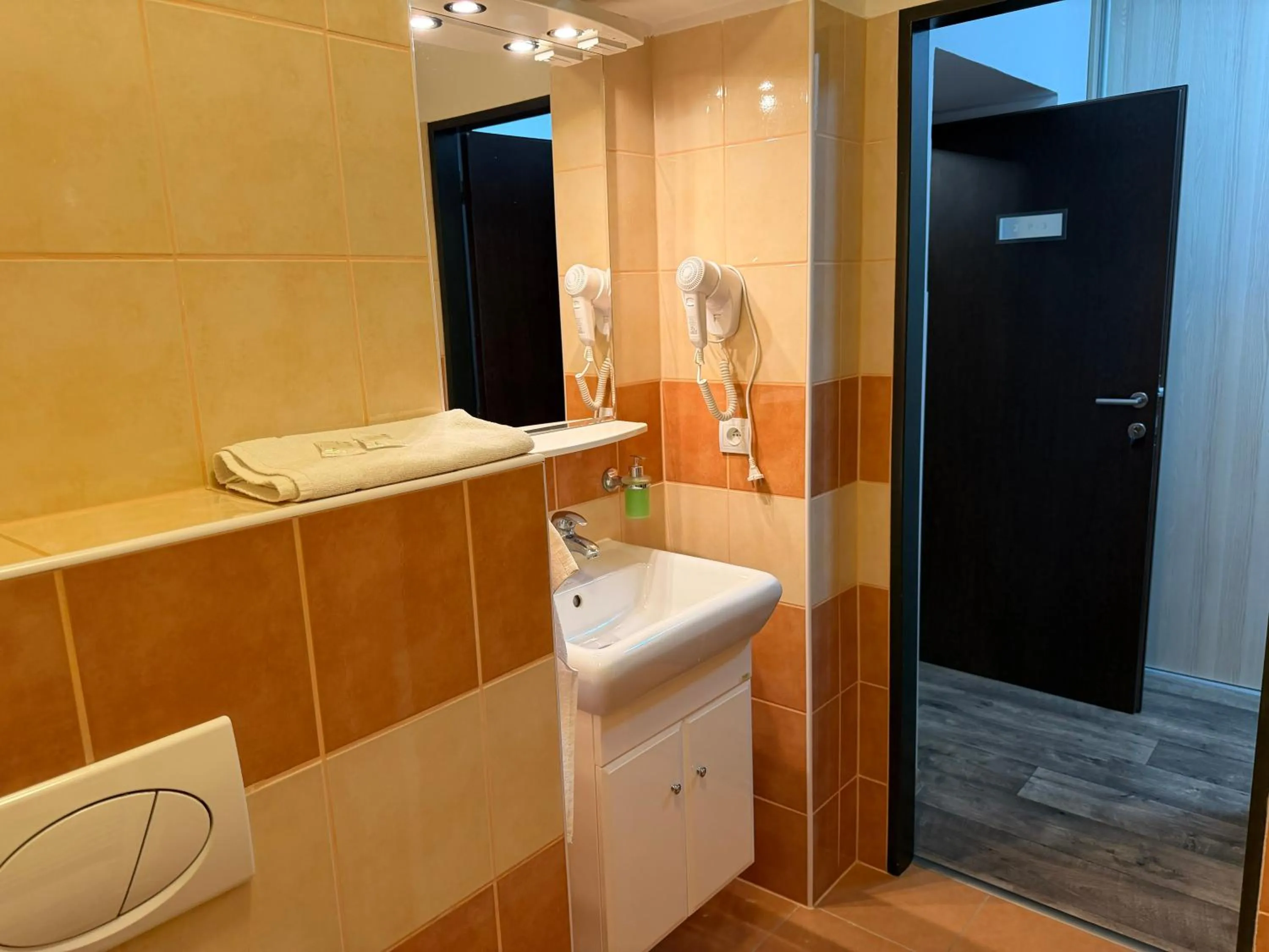 Toilet in Hotel Palác