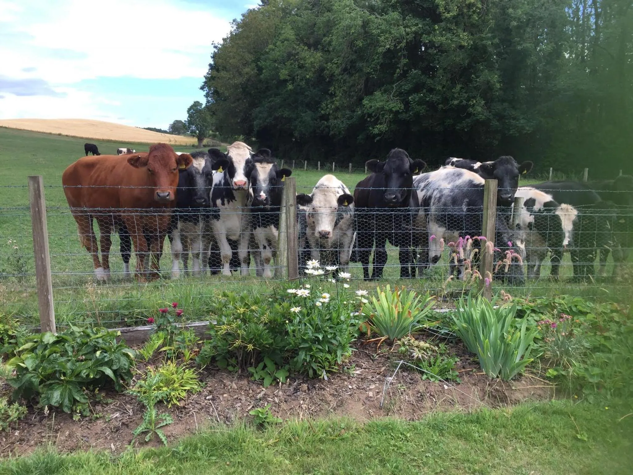 Property building in Retreat at The Knowe Auchincruive Estate