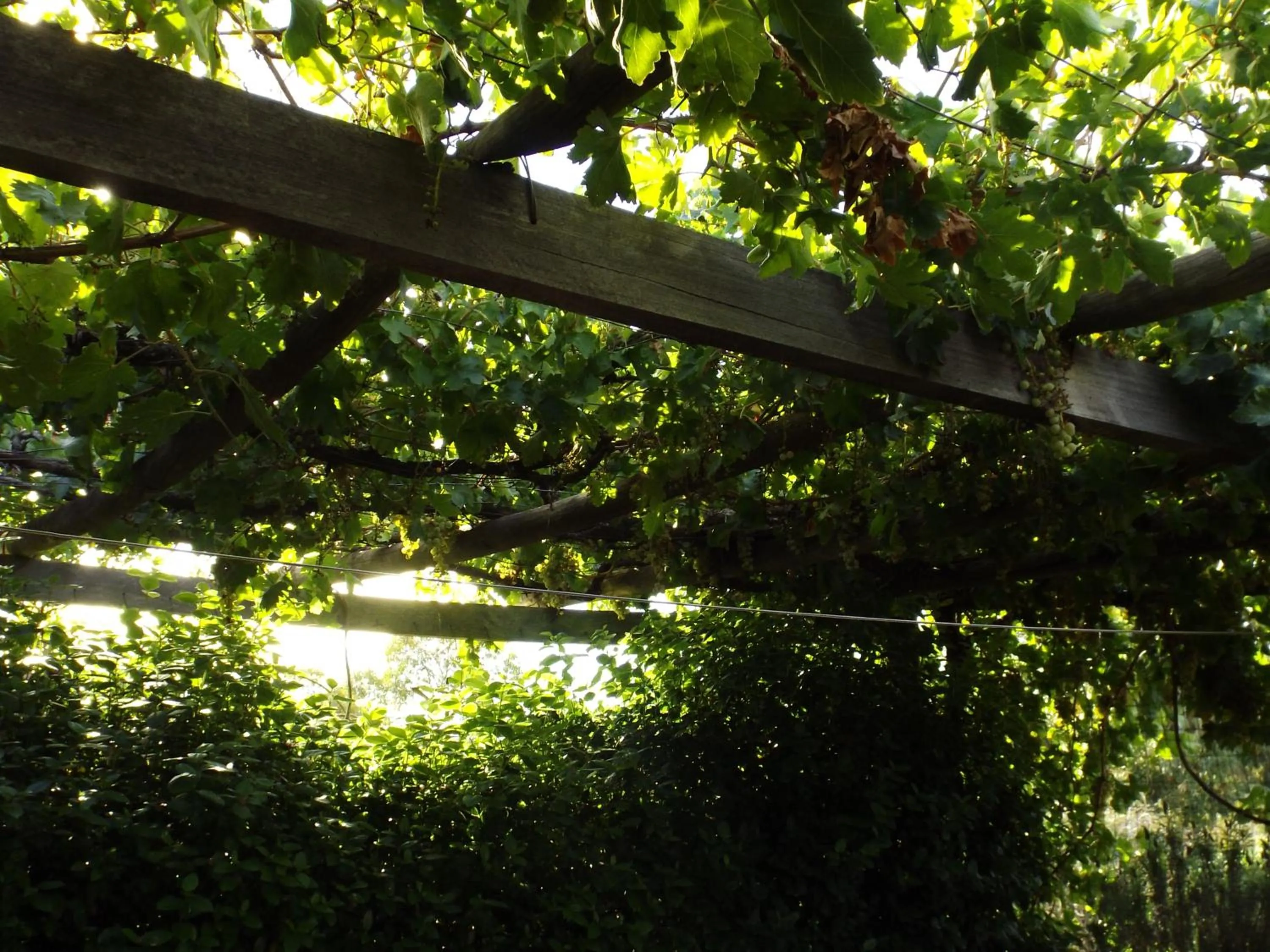 Summer in York's Lookout Lodge Bed And Breakfast