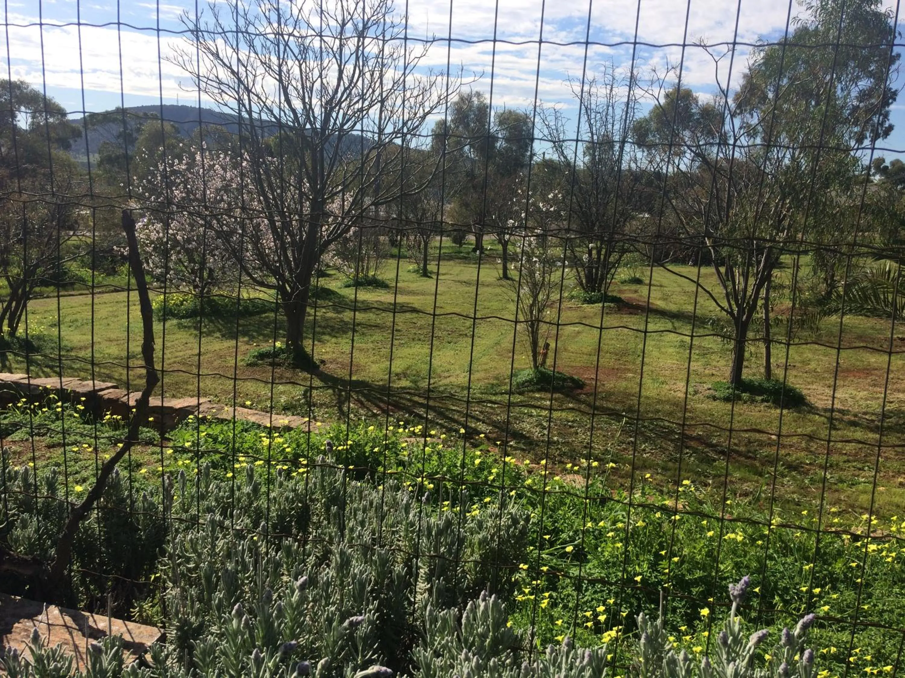 Patio in York's Lookout Lodge Bed And Breakfast