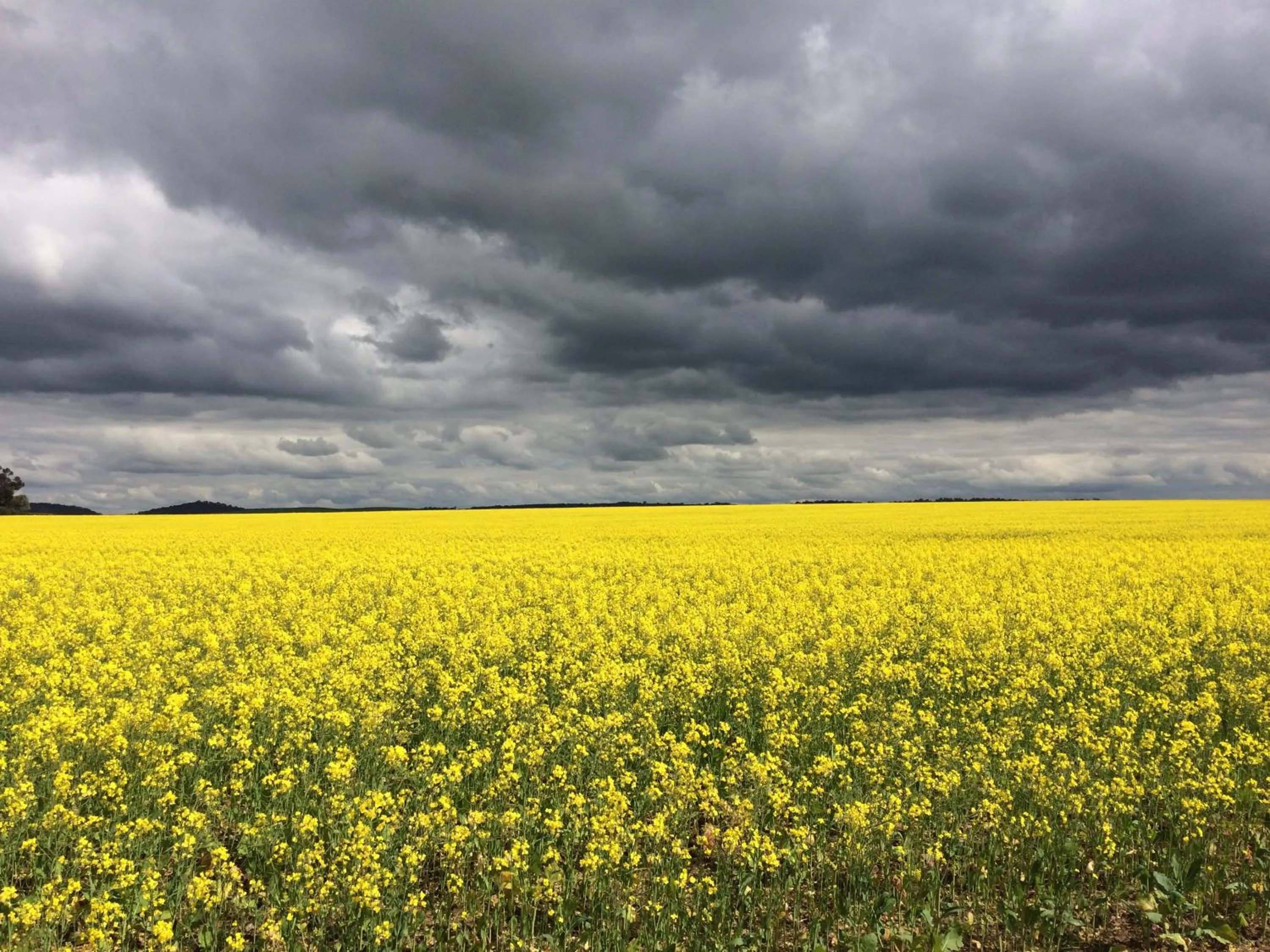 Off site in York's Lookout Lodge Bed And Breakfast