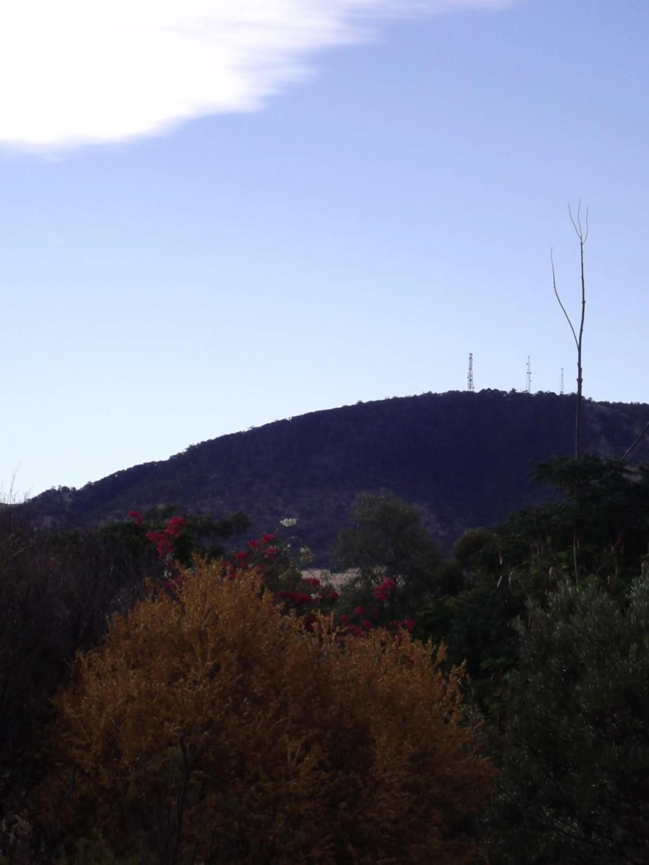 Day in York's Lookout Lodge Bed And Breakfast