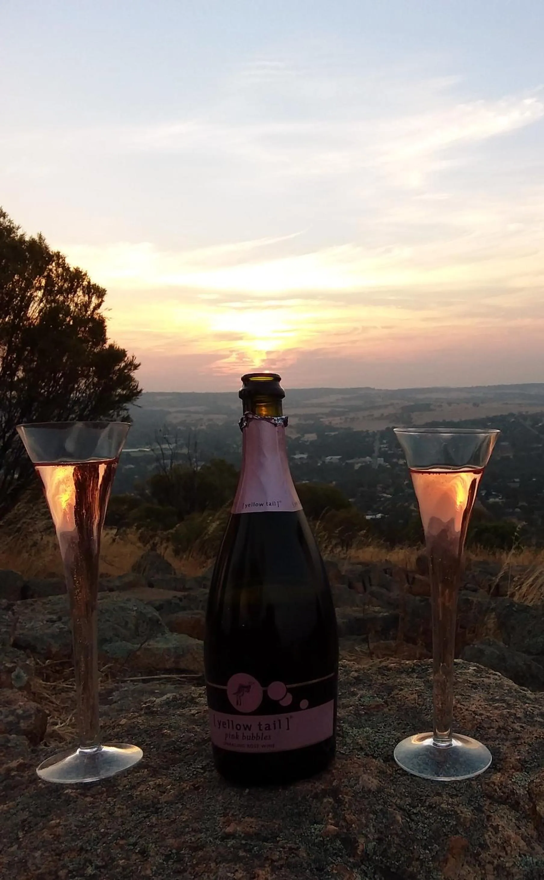 York's Lookout Lodge Bed And Breakfast