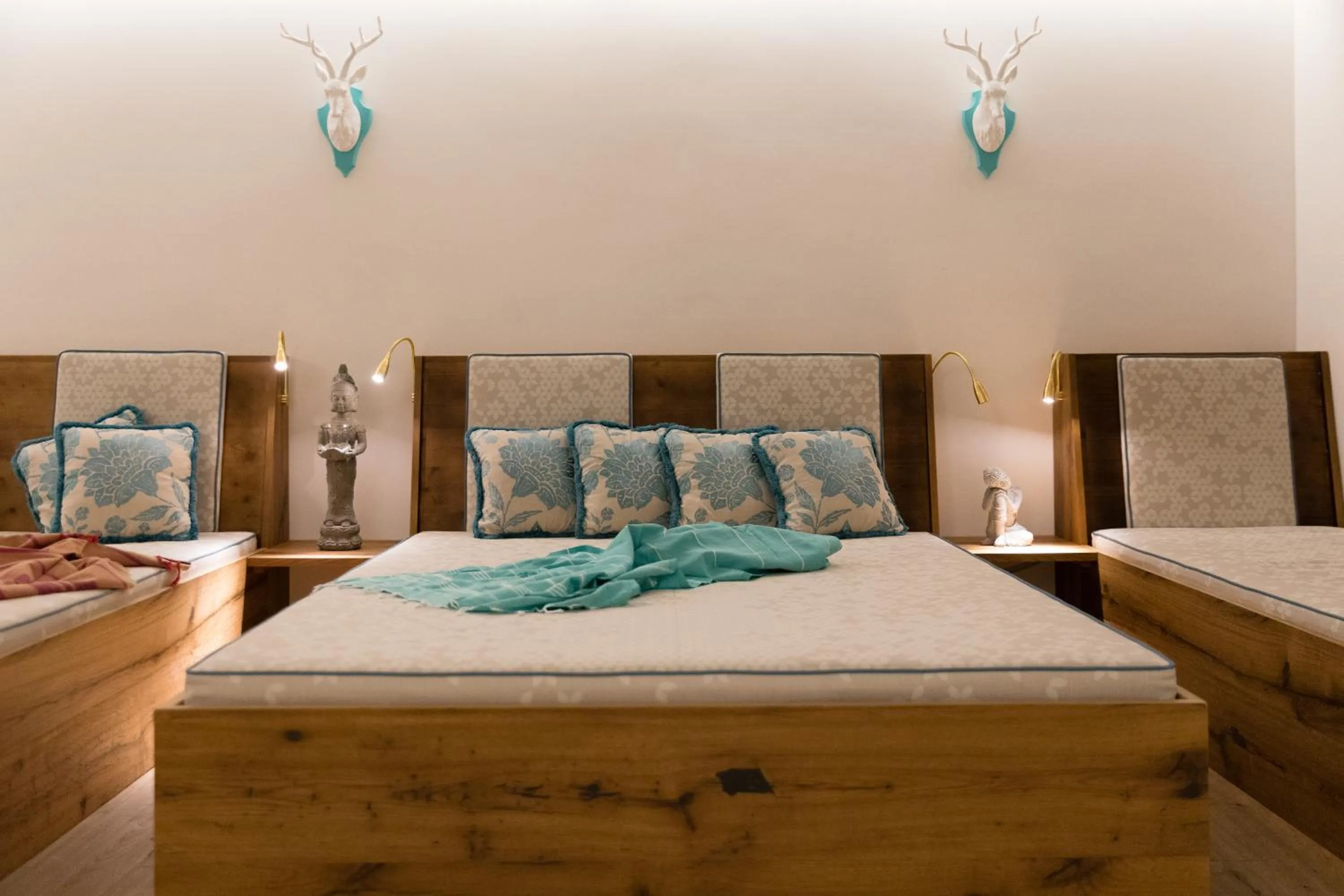 Activities, Bed in Hotel Albona Nova