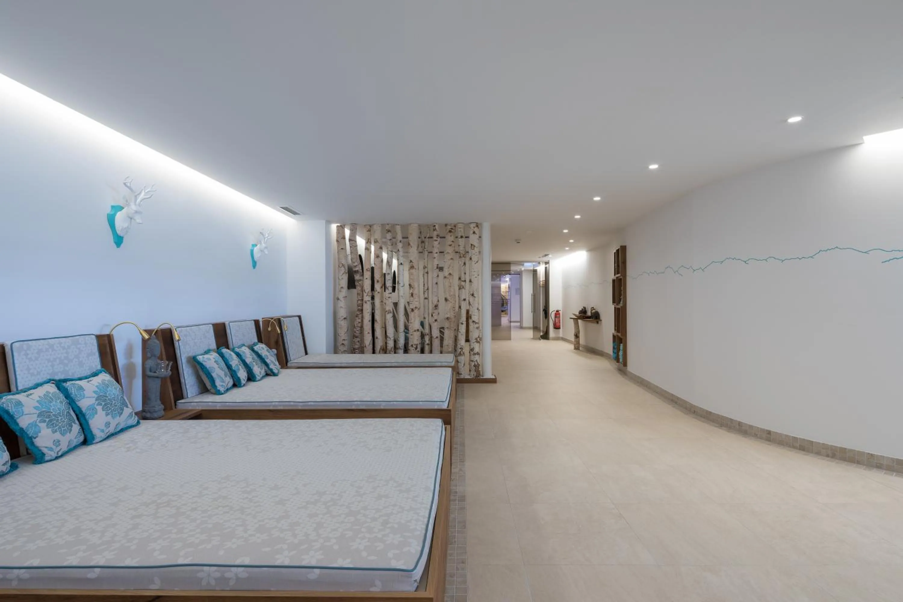 Spa and wellness centre/facilities, Bed in Hotel Albona Nova