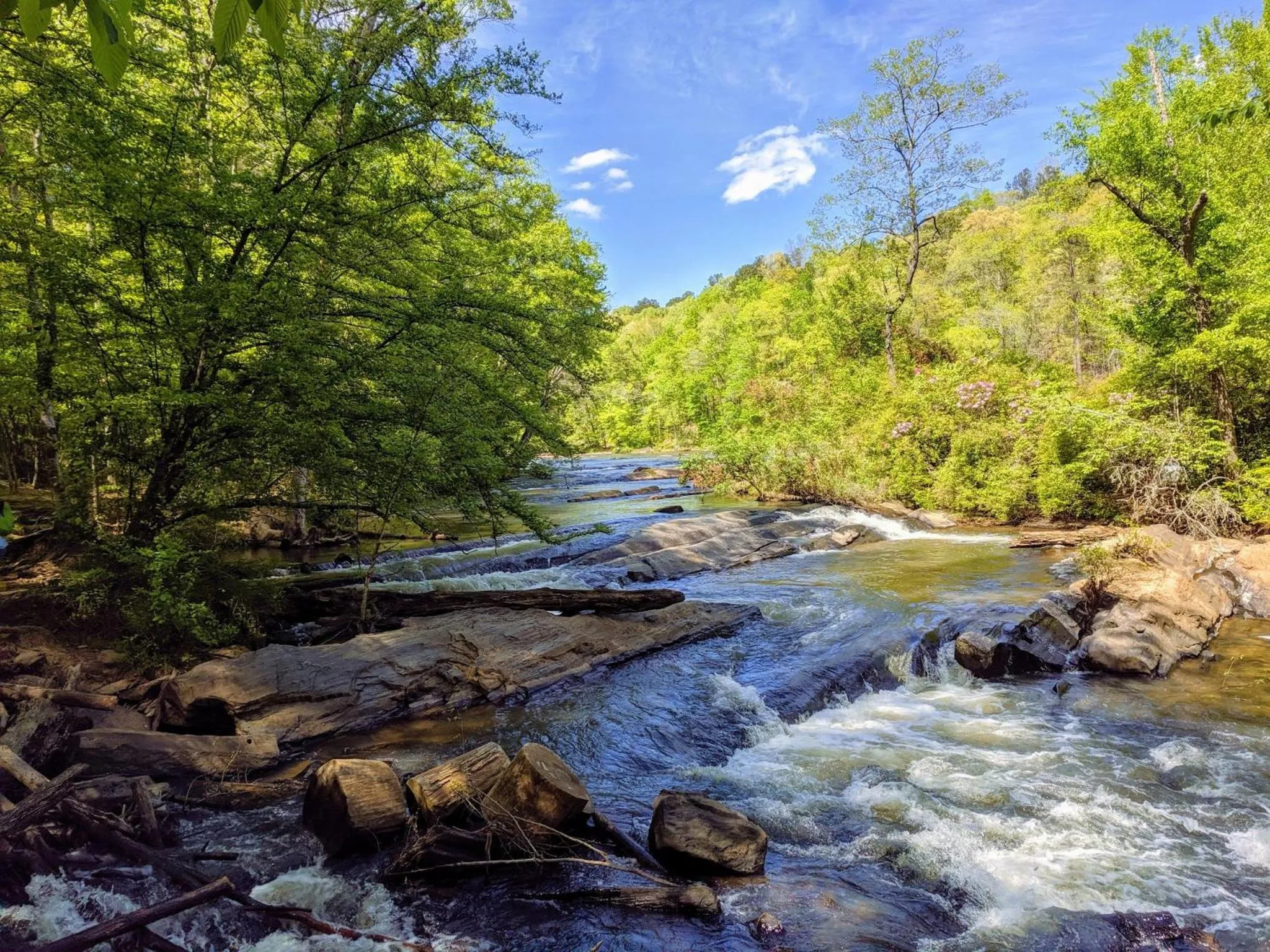 Area and facilities in Crowne Plaza Atlanta NE - Norcross by IHG