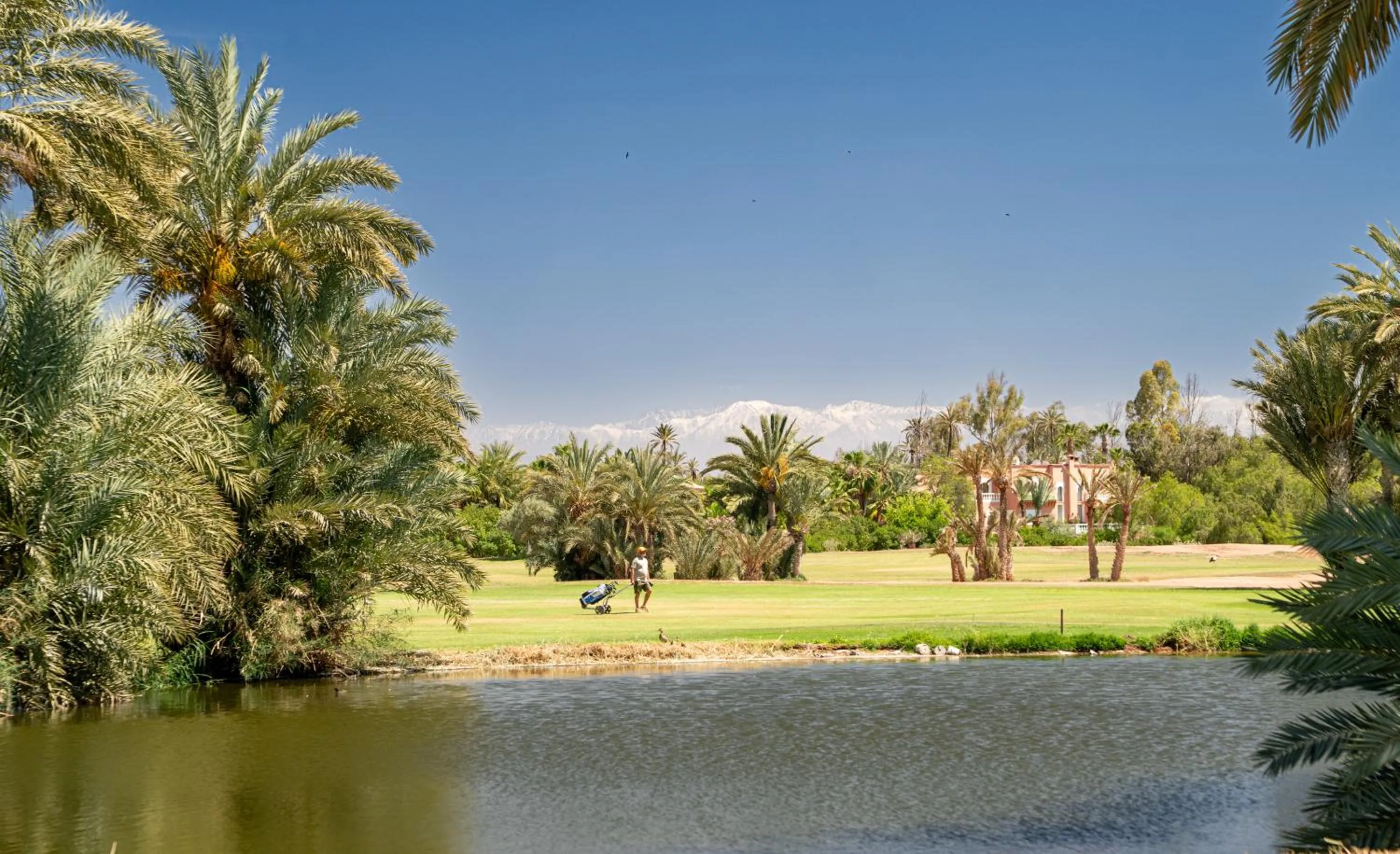 Natural landscape in Pickalbatros Hôtel Du Golf - Adults Friendly 16 Years Plus- All-Inclusive