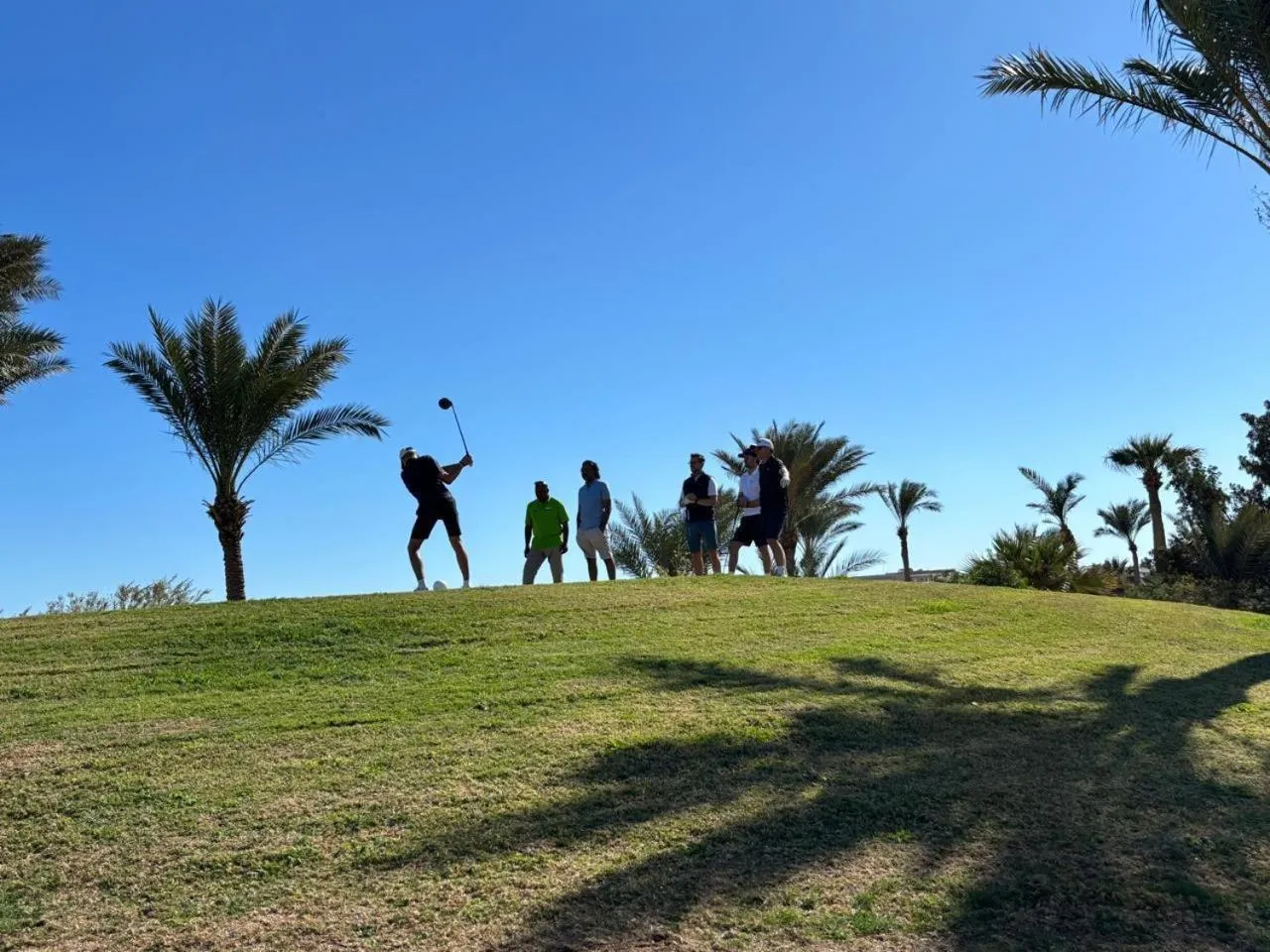 Golfcourse in Pickalbatros Hôtel Du Golf - Adults Friendly 16 Years Plus- All-Inclusive