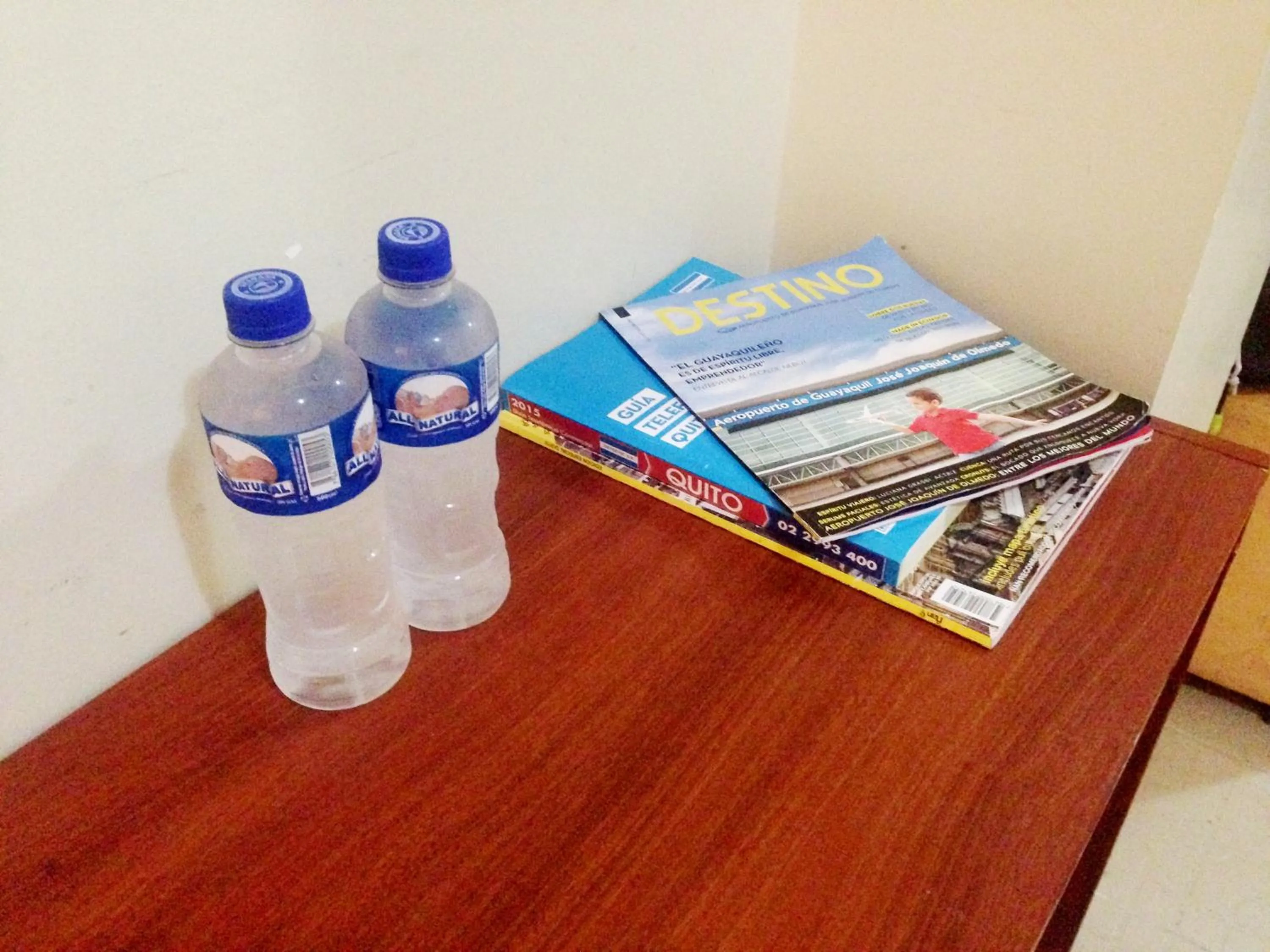 Decorative detail in Hotel Air Suites