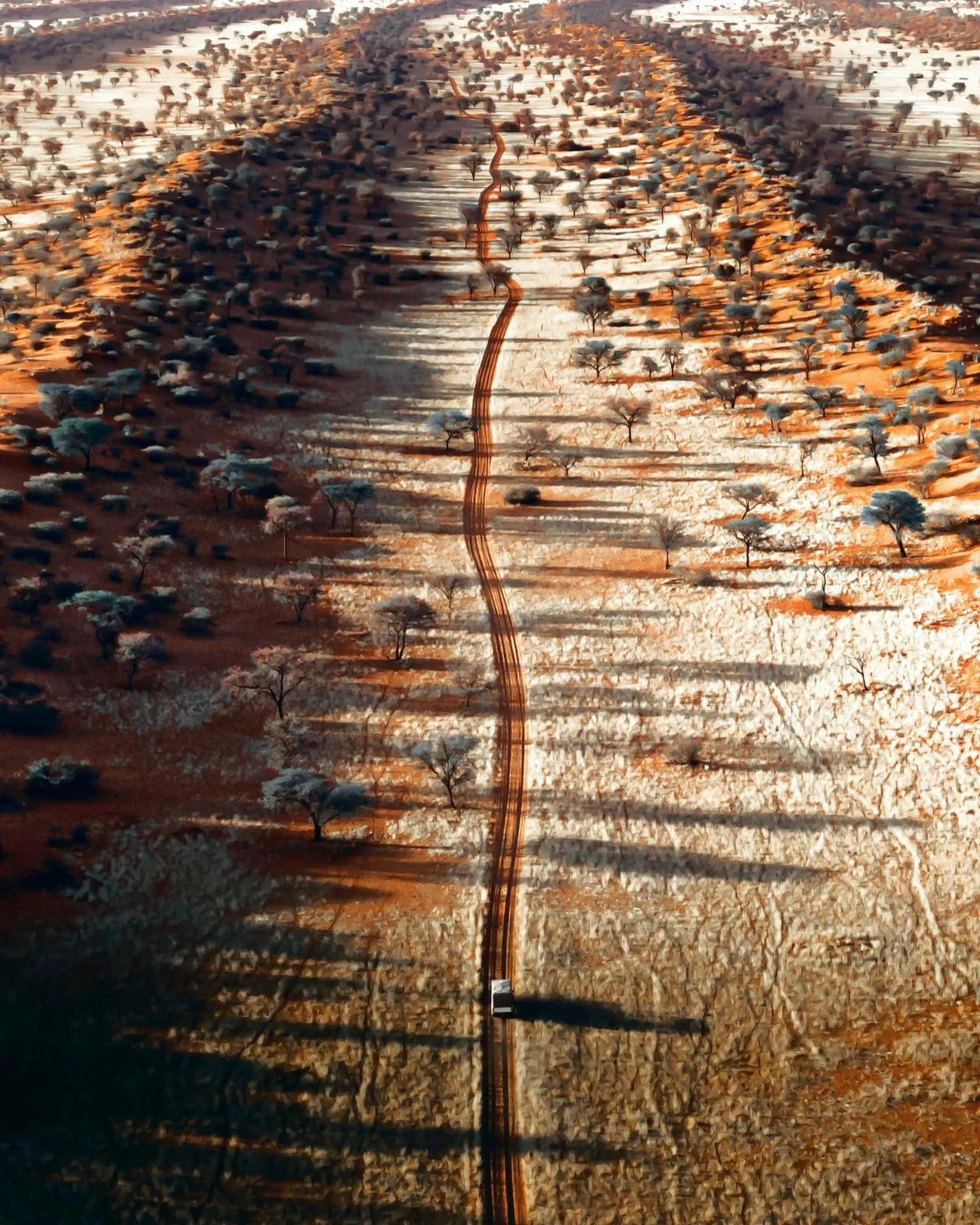 Bagatelle Kalahari Game Ranch