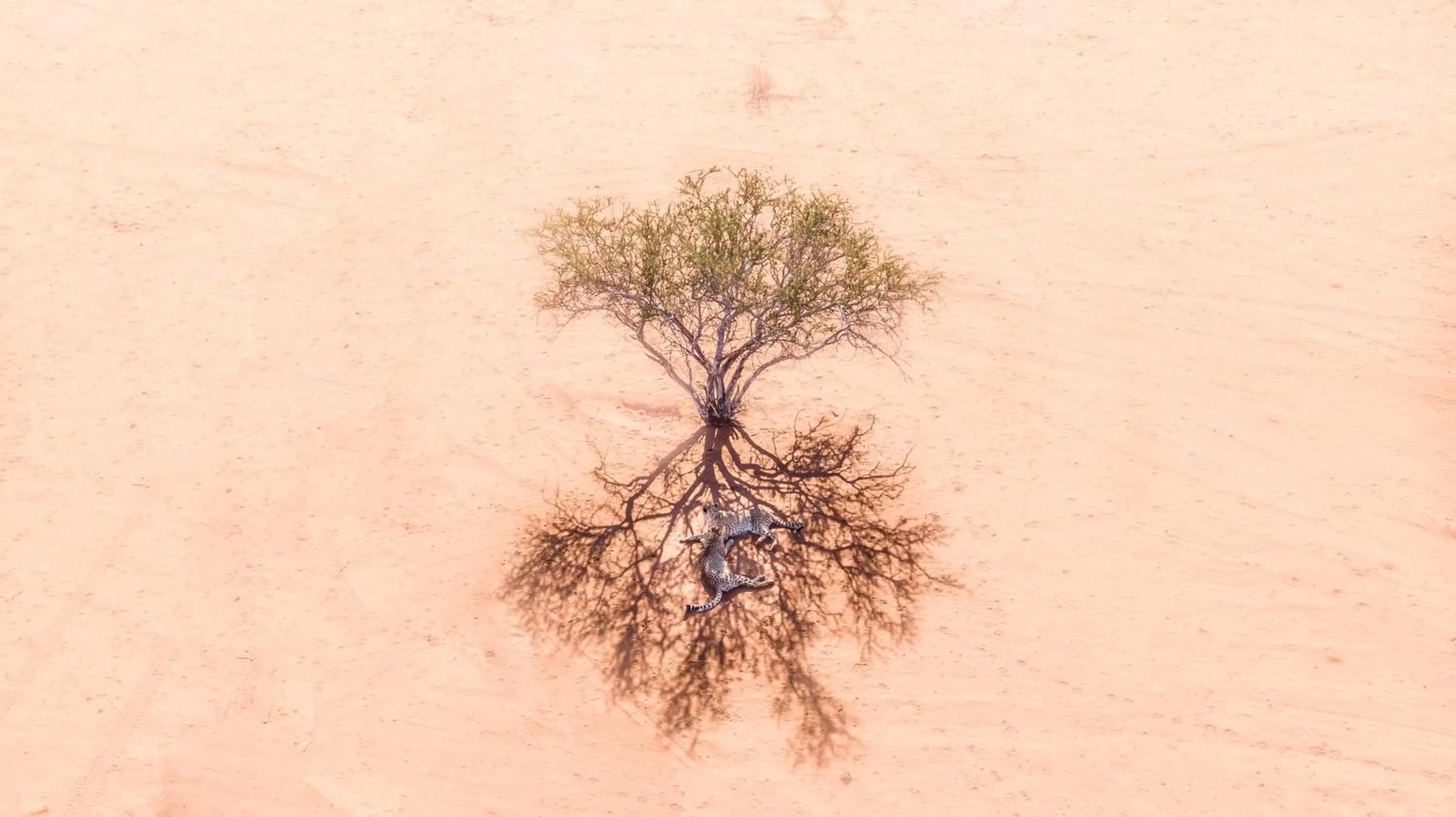 Natural landscape in Bagatelle Kalahari Game Ranch