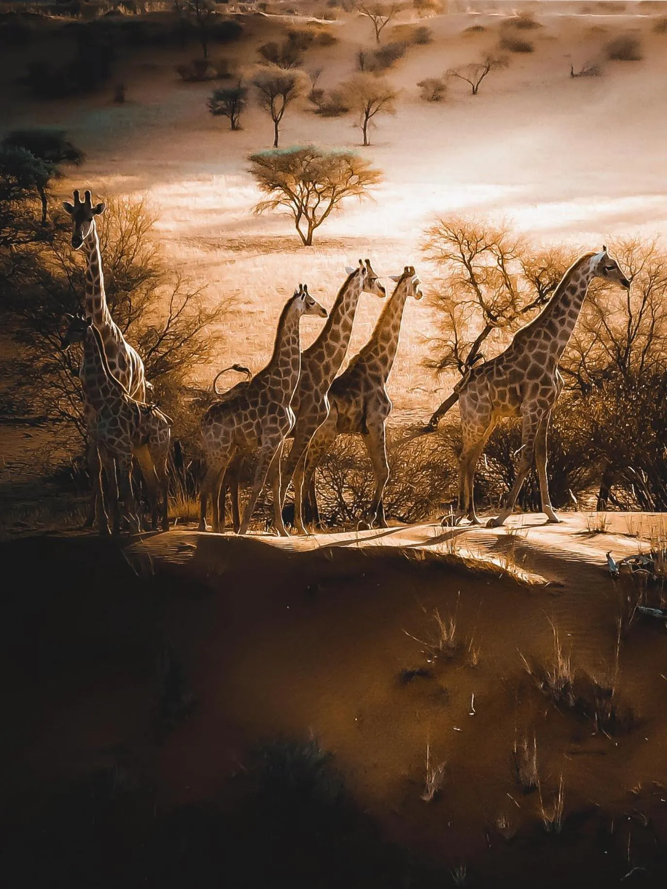 Bagatelle Kalahari Game Ranch