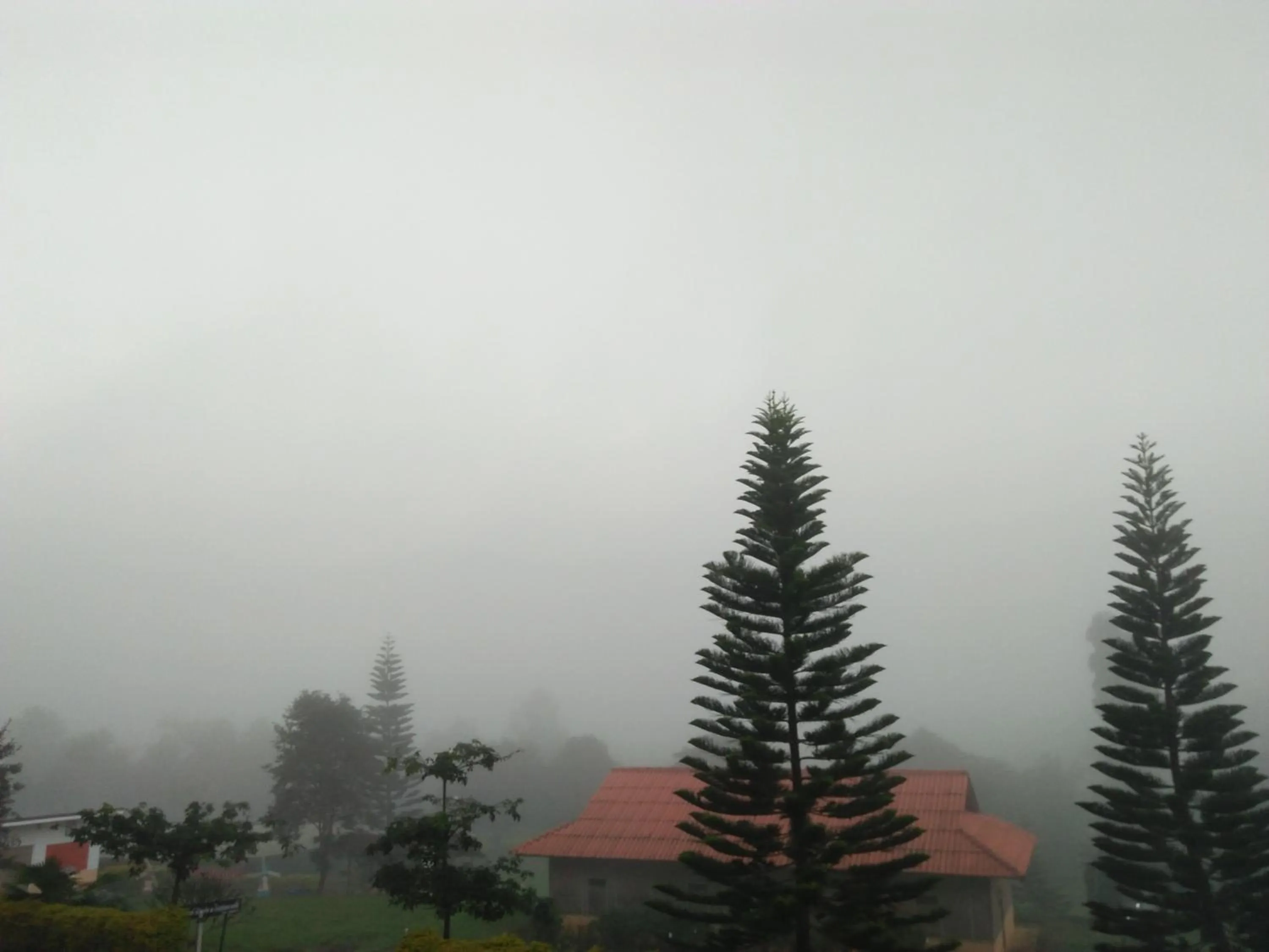 Mong Homestay Resort