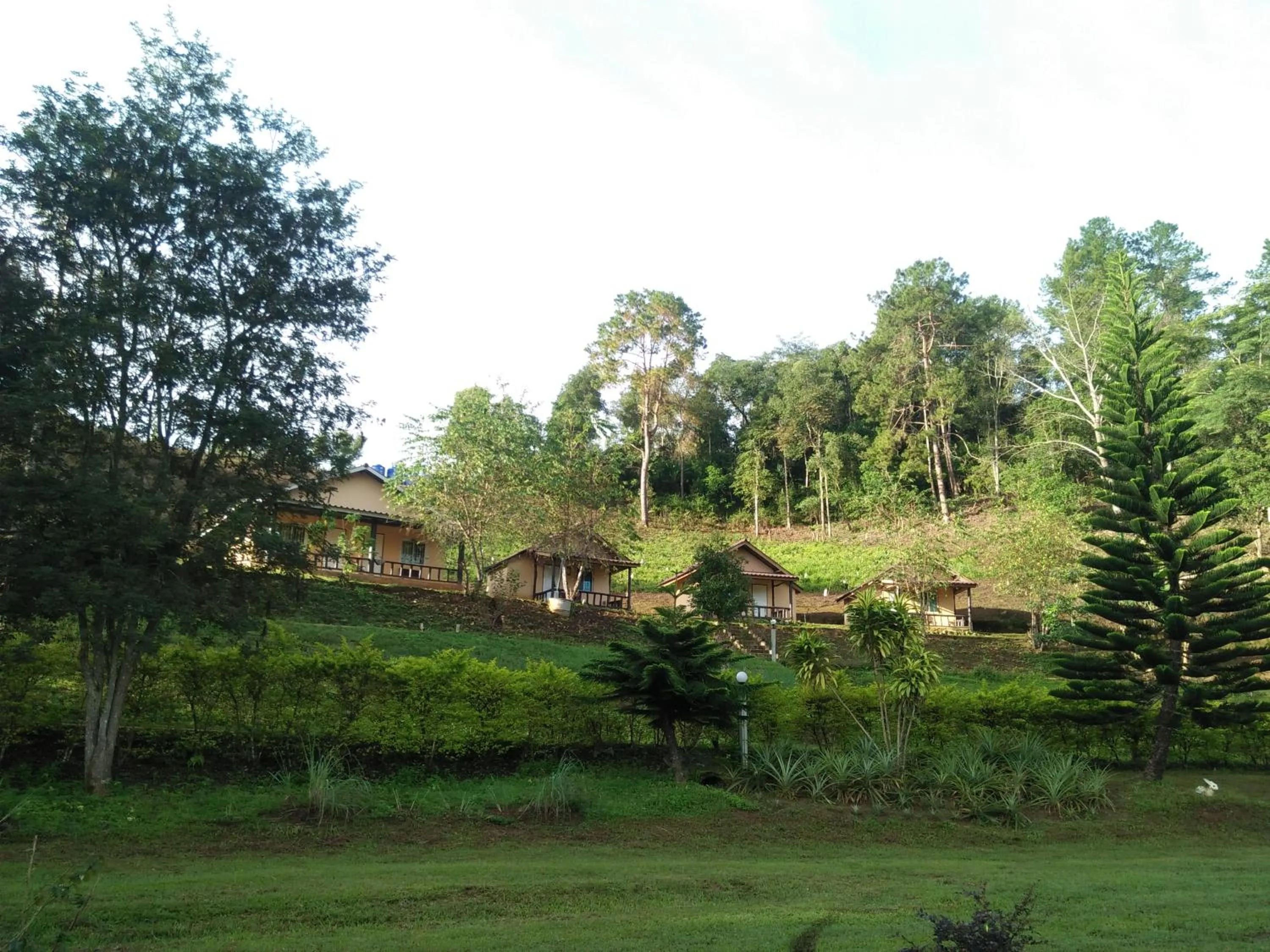 Mong Homestay Resort