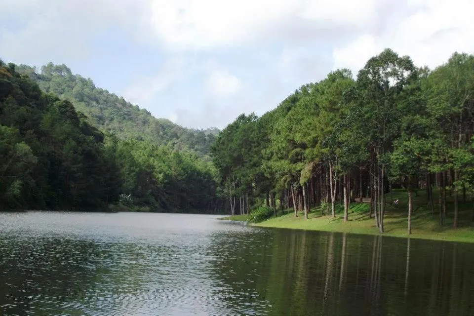 Mong Homestay Resort