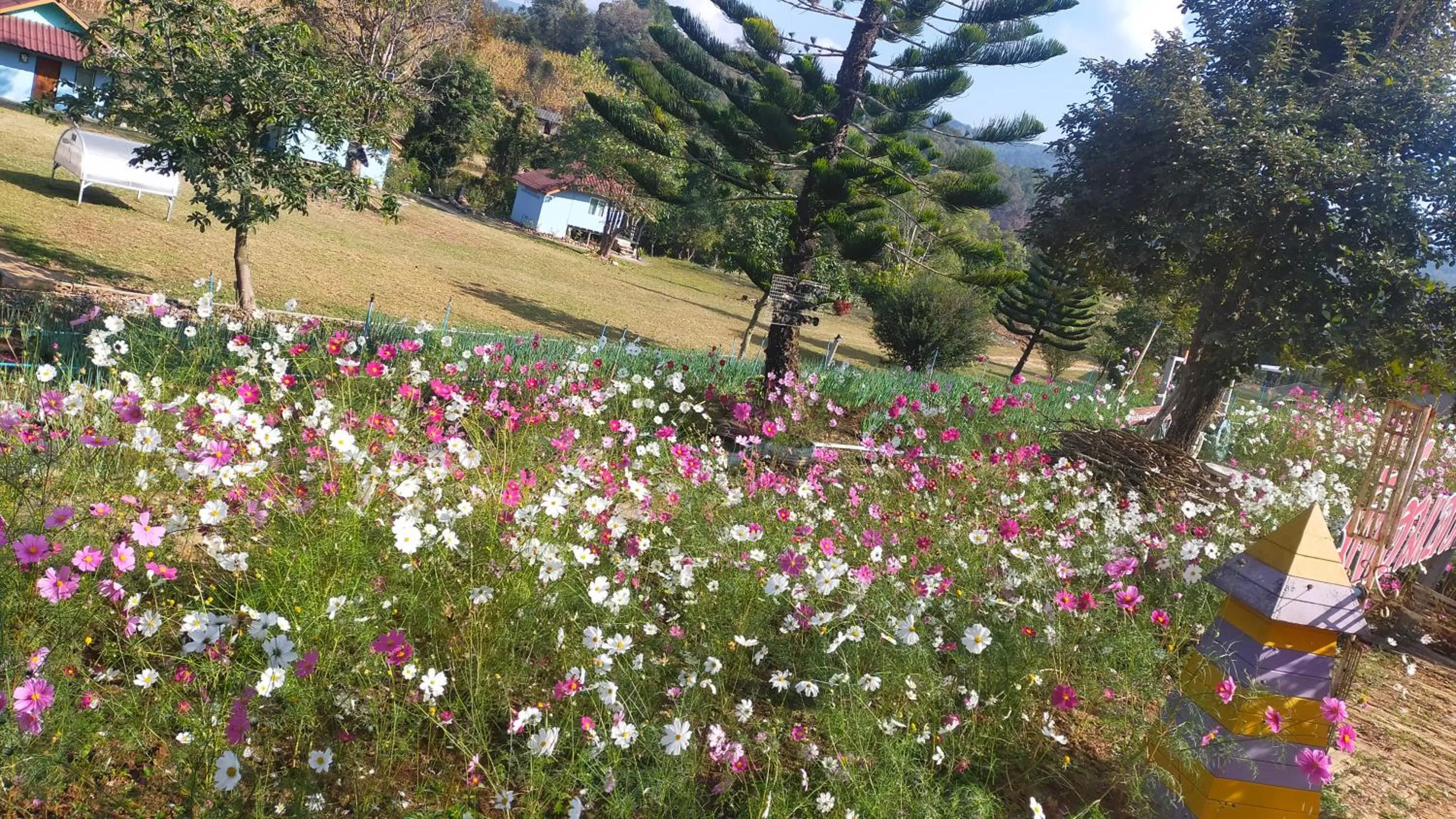 Mong Homestay Resort