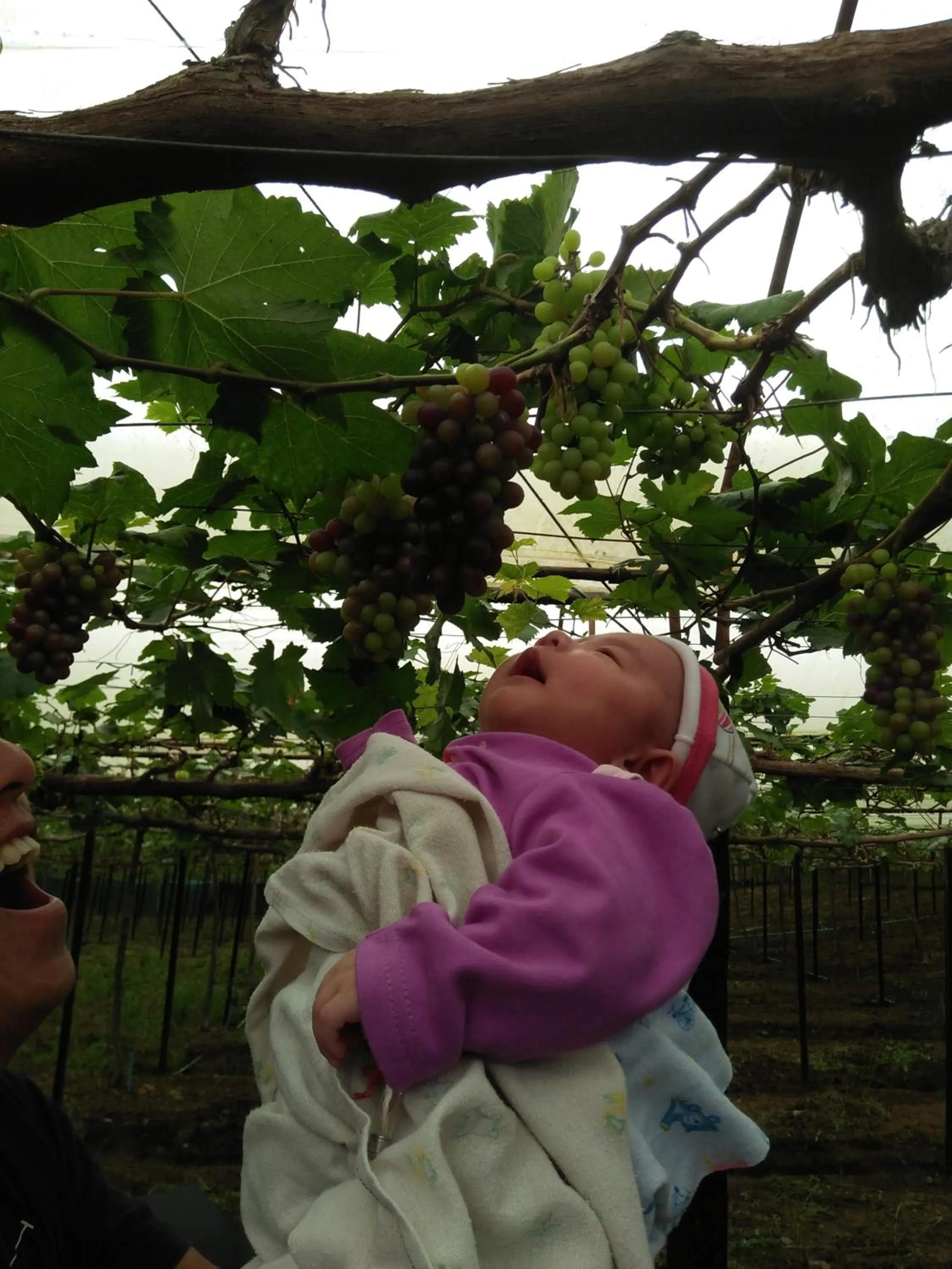 Mong Homestay Resort