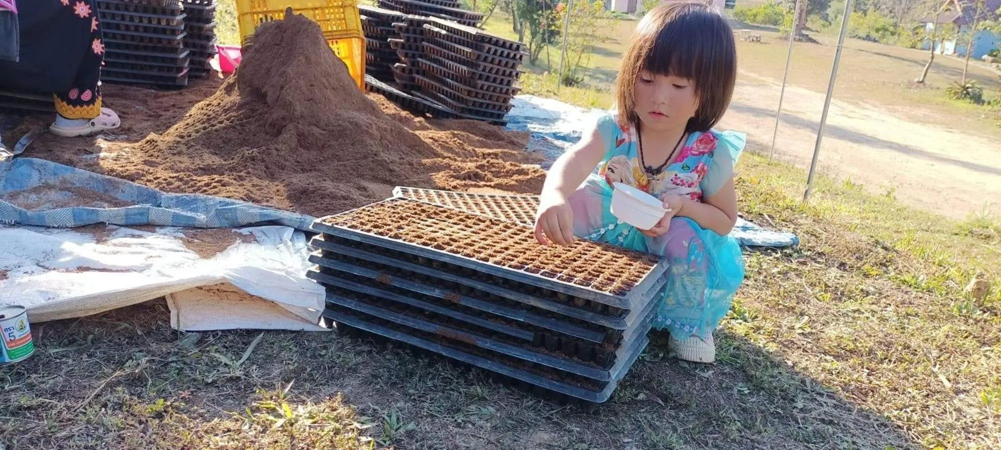 Activities in Mong Homestay Resort