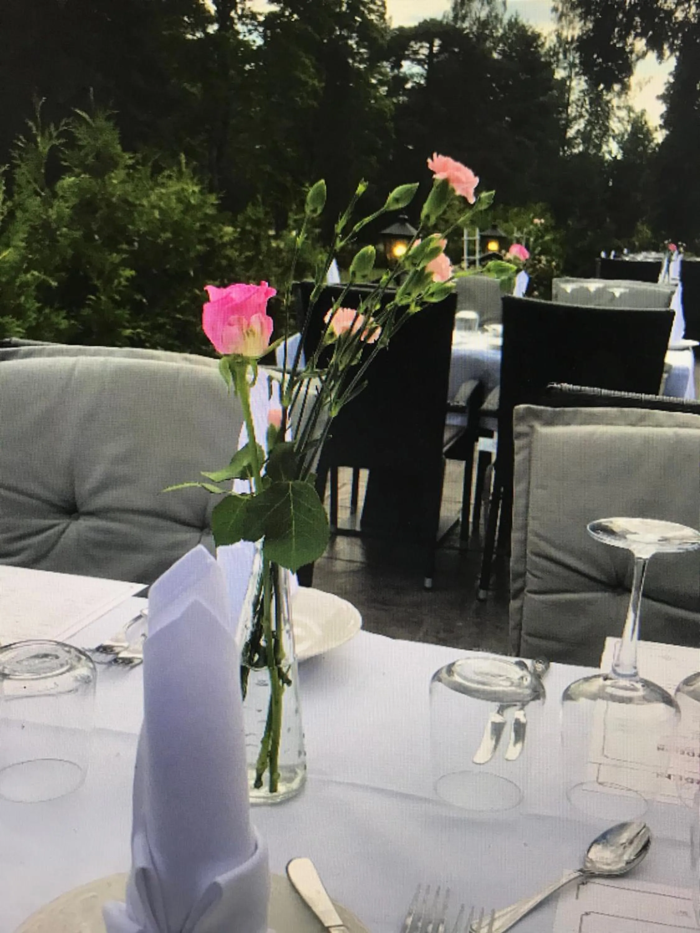 Garden in Hotell Plevnagården