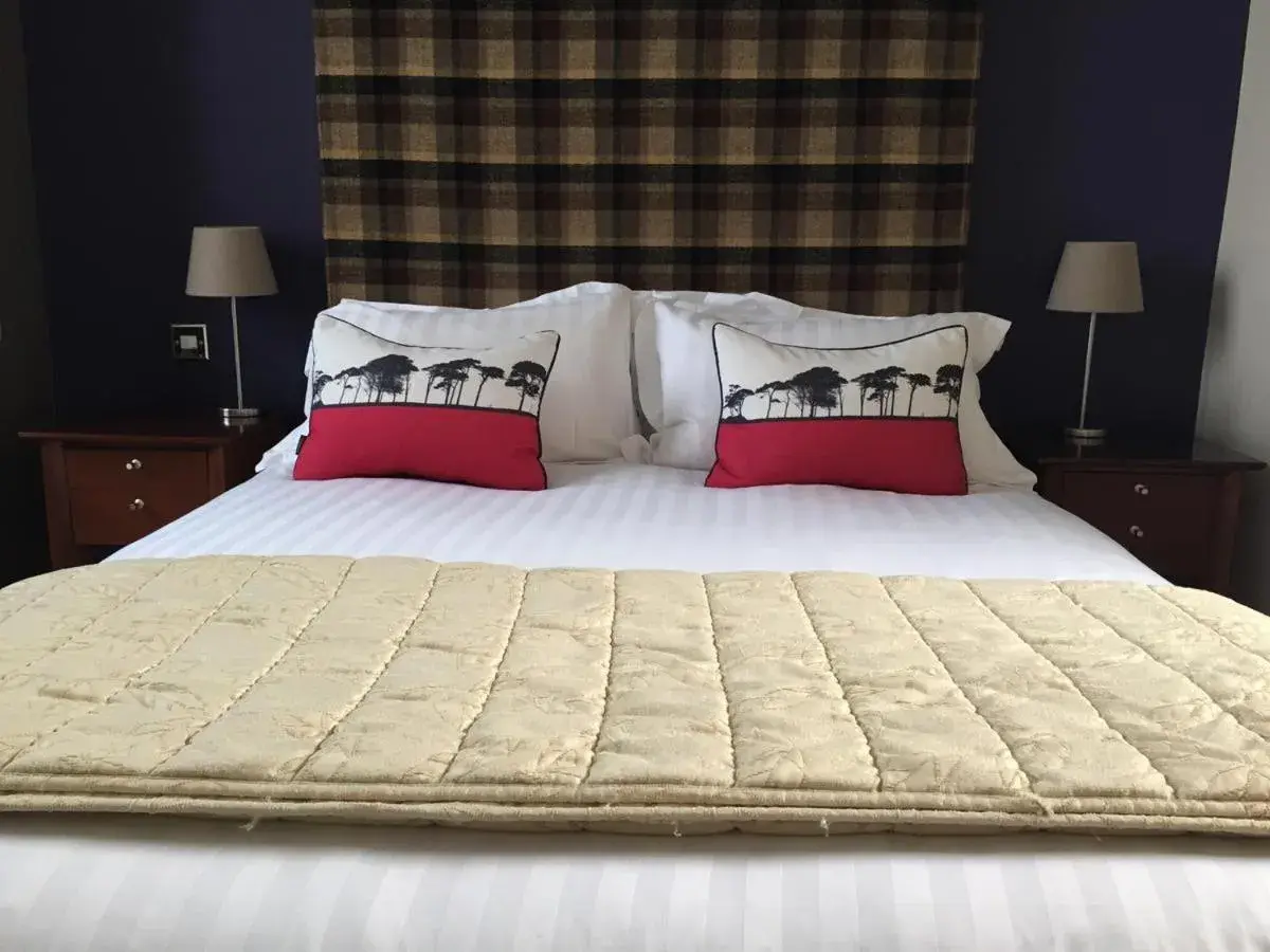 Double Room with Private Bathroom - single occupancy in Forest Hotel Double Room with Private Bathroom - single occupancy in Forest Hotel
